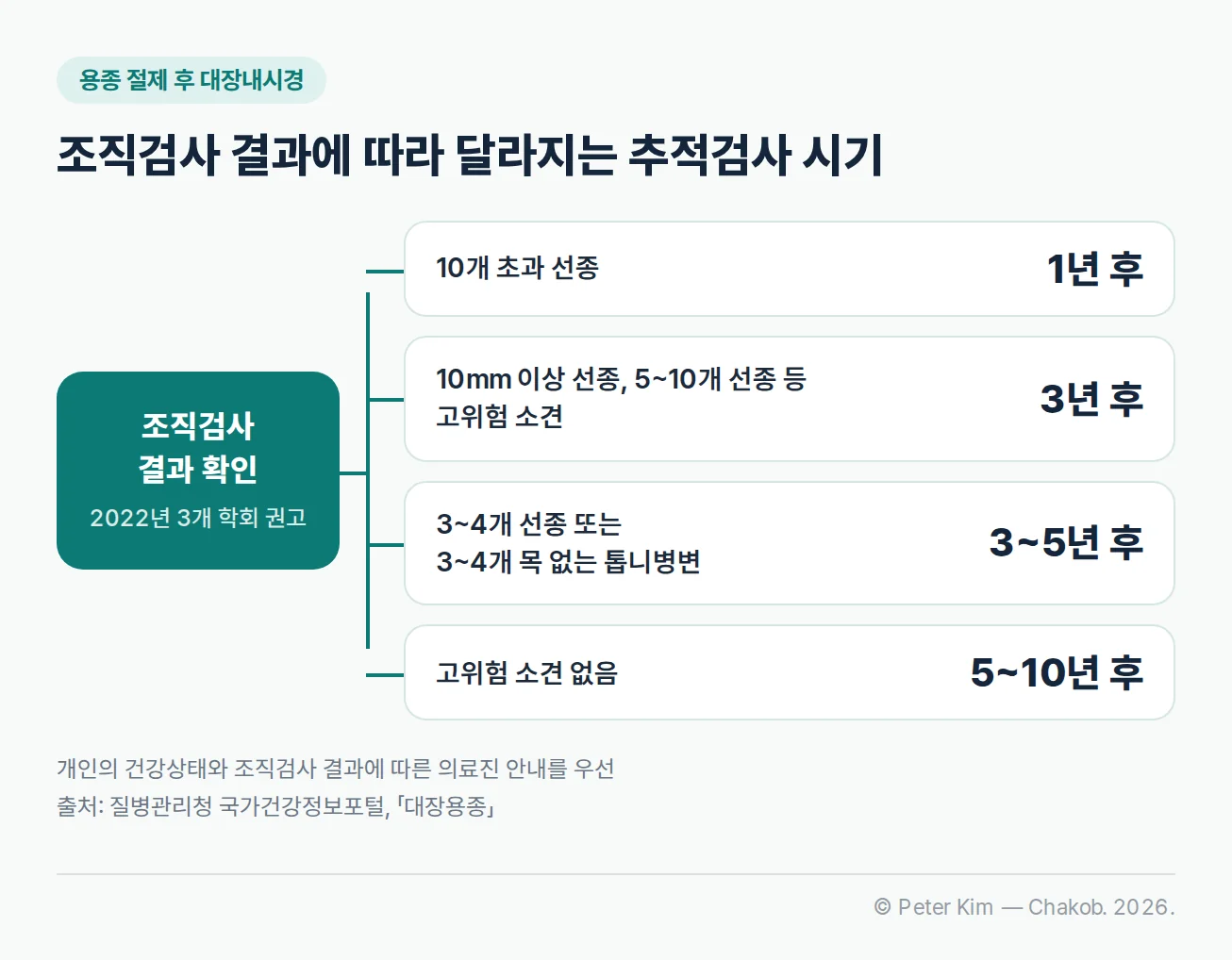 대장 용종 조직검사 결과에 따른 추적 대장내시경 권고 시기 도식