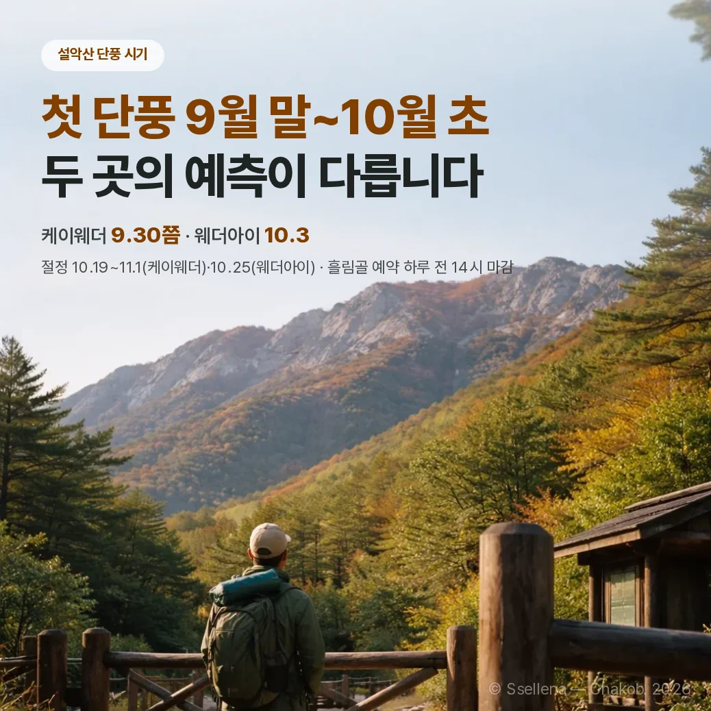 맑은 오전 흘림골 탐방 게이트 옆에서 단풍 드는 설악산 능선을 올려다보는 탐방객과 첫 단풍 예측 날짜를 담은 정방형 커버