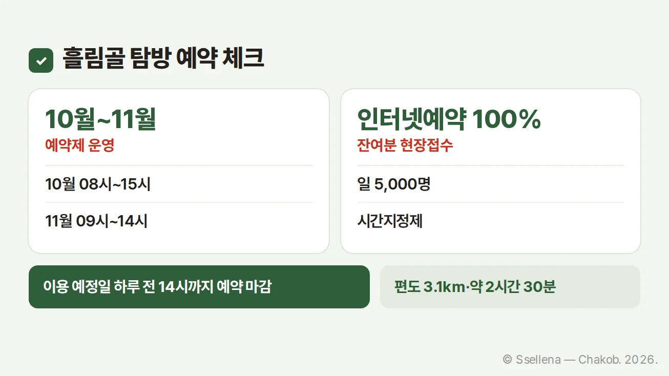 흘림골 탐방 예약과 운영시간을 정리한 안내 카드