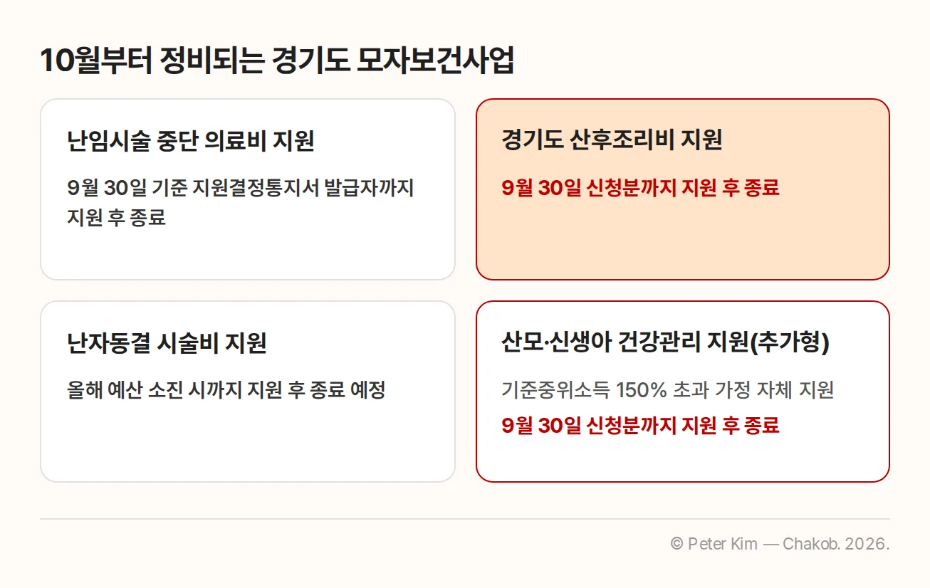 10월부터 단계적으로 정비되는 경기도 모자보건사업 4개와 사업별 종료 기준