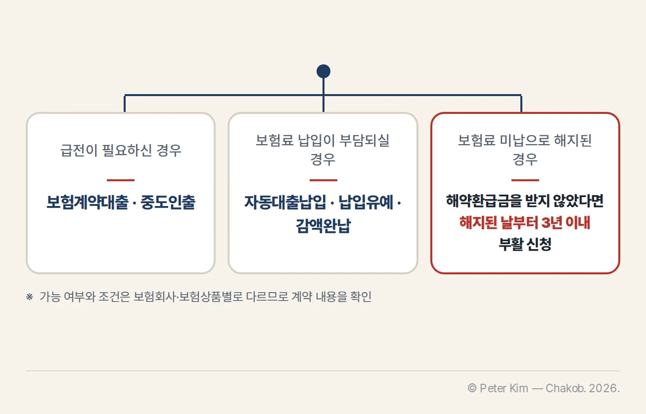 급전에는 보험계약대출과 중도인출, 보험료 납입 부담에는 자동대출납입·납입유예·감액완납을 확인하는 계약 유지 방안 카드