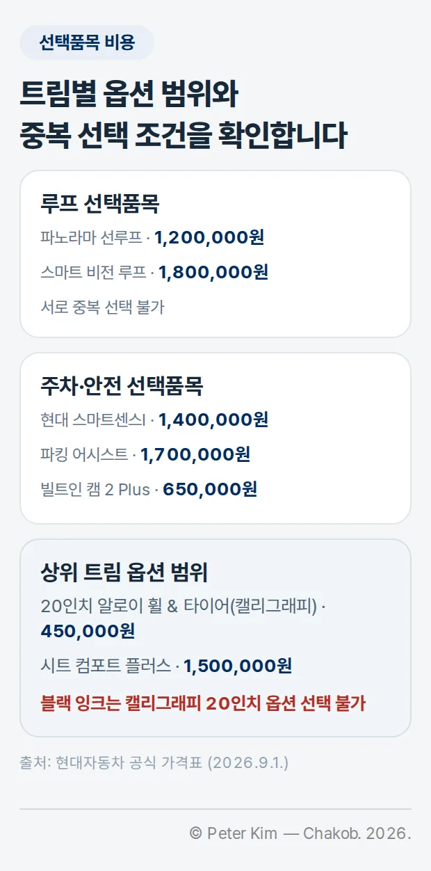 그랜저 하이브리드 선택품목의 비용과 조합 확인 항목을 정리한 카드형 이미지
