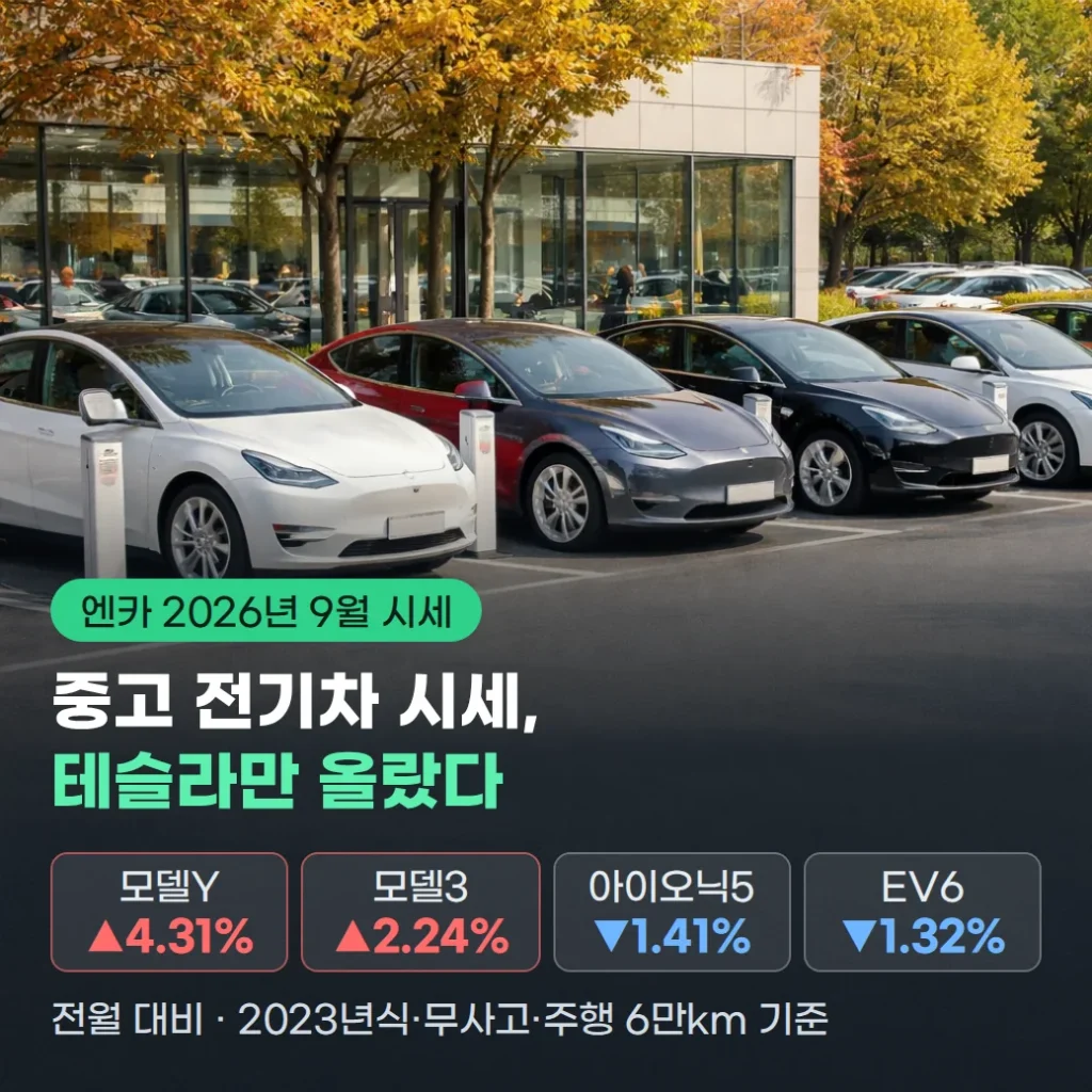 전기차 중고 시세 2026년 9월, 테슬라만 오른 이유와 확인할 점