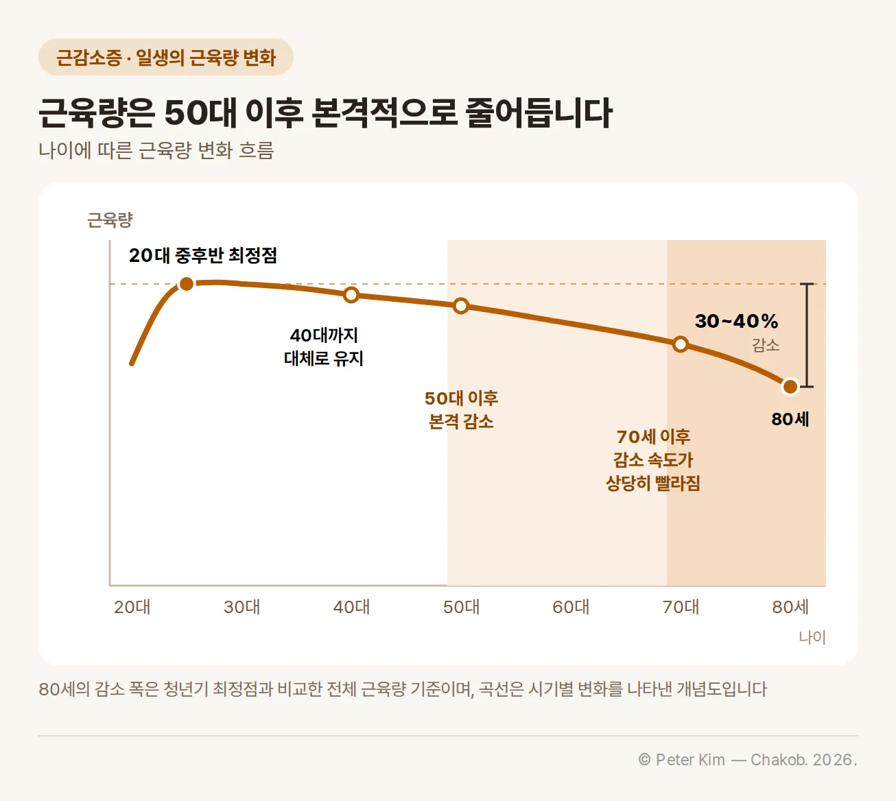 나이에 따른 근육량 변화 개념도. 20대 중후반에 최정점에 이르고 40대까지 대체로 유지되다가 50대 이후 본격적으로 감소하며, 70세 이후 감소 속도가 상당히 빨라지고 80세에는 청년기 최정점에 비해 전체 근육량이 30~40% 감소합니다