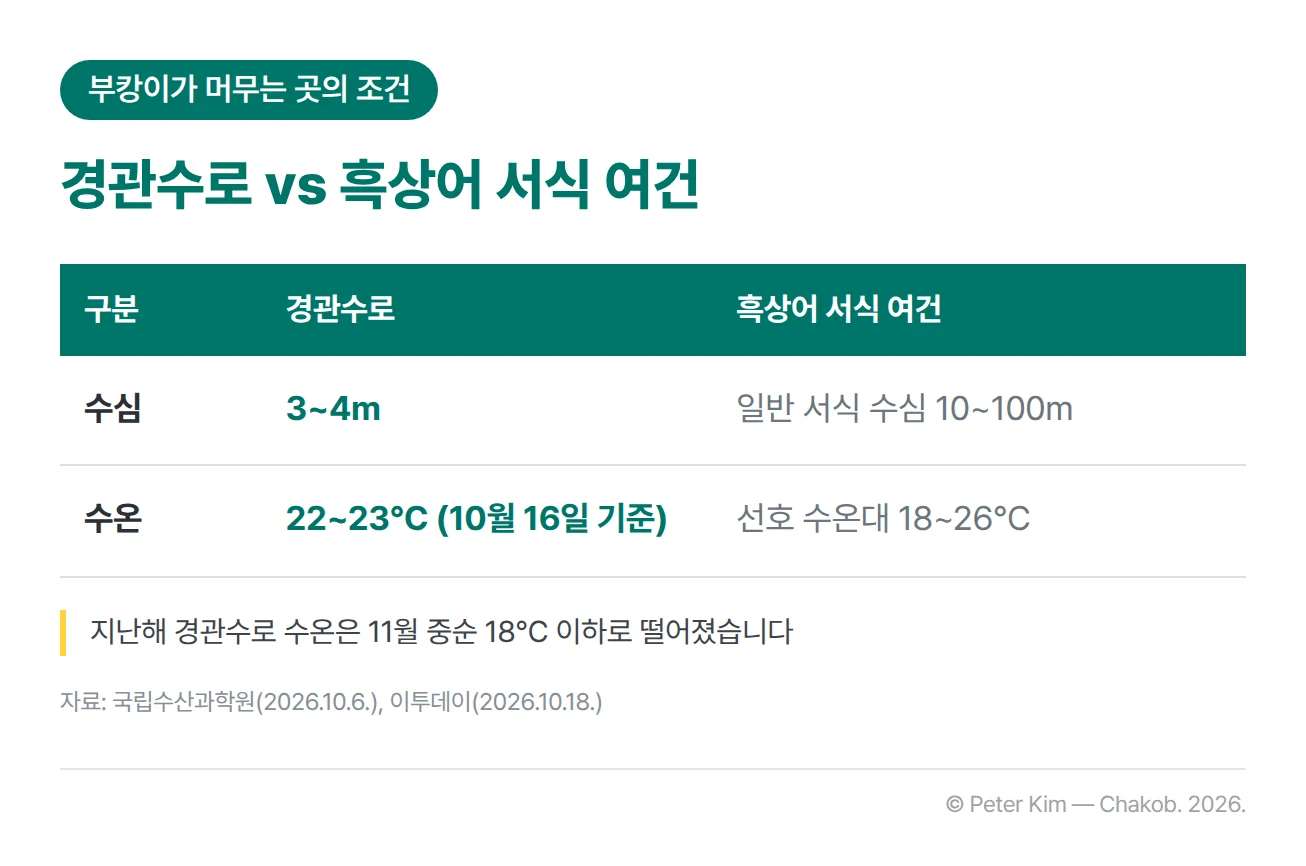 북항친수공원 경관수로와 흑상어 서식 여건을 비교한 표입니다. 수심은 경관수로 3~4m, 흑상어 일반 서식 수심 10~100m이고, 수온은 10월 16일 기준 경관수로 22~23℃, 흑상어 선호 수온대 18~26℃입니다. 아래에 지난해 경관수로 수온이 11월 중순 18℃ 이하로 떨어졌다는 주석이 있습니다