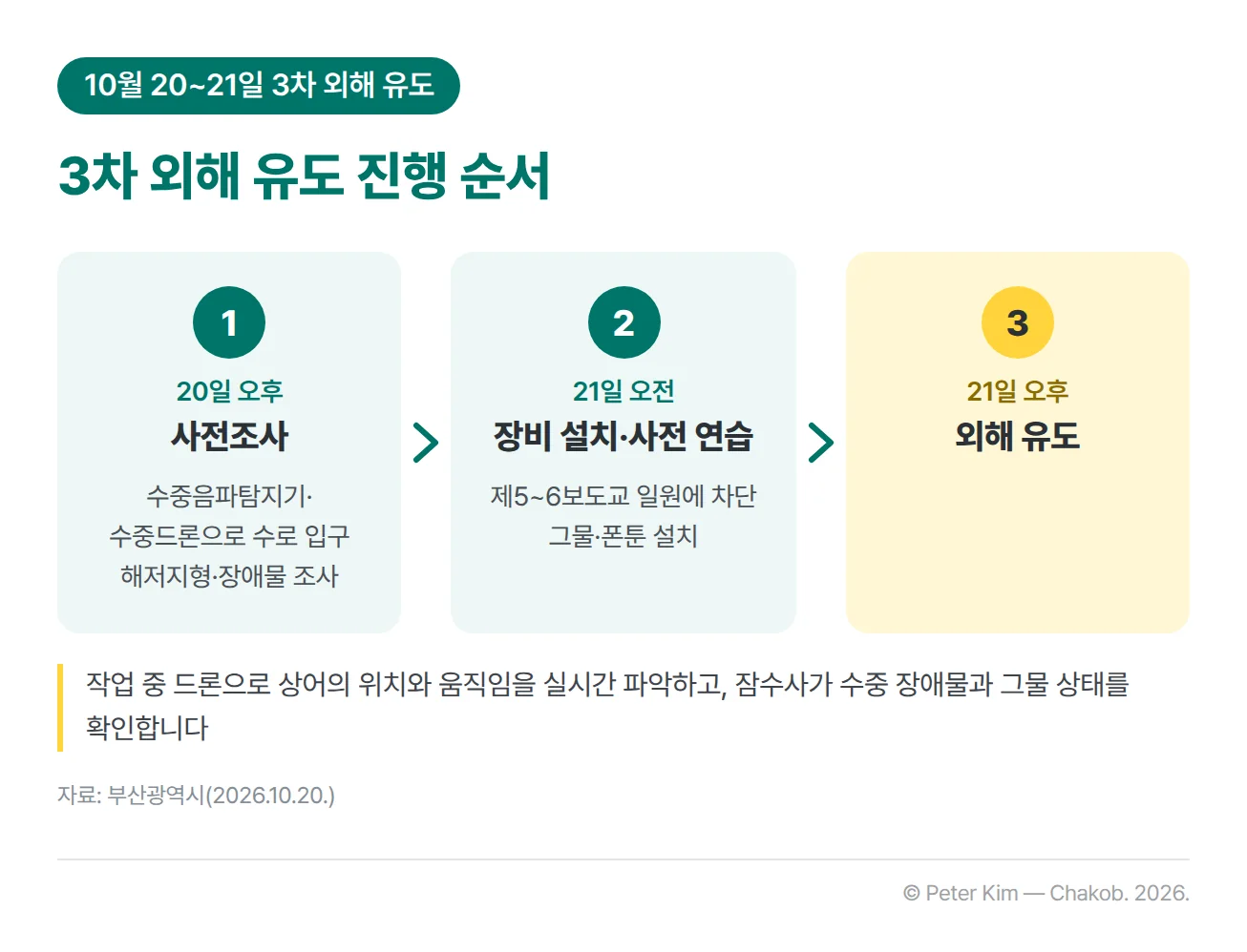 부캉이 3차 외해 유도의 진행 순서를 세 단계로 보여 주는 도식입니다. 첫째 20일 오후 수중음파탐지기와 수중드론으로 수로 입구의 해저지형과 장애물을 사전조사하고, 둘째 21일 오전 제5~6보도교 일원에 차단 그물과 폰툰을 설치하고 사전 연습을 하며, 셋째 21일 오후 외해 유도를 합니다. 아래에 작업 중 드론으로 상어의 위치와 움직임을 실시간 파악하고 잠수사가 수중 장애물과 그물 상태를 확인한다는 주석이 있습니다