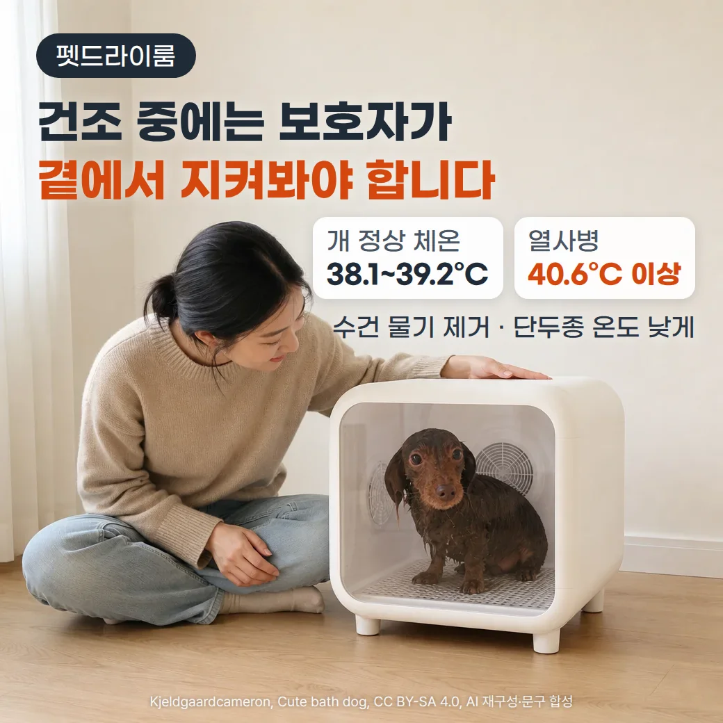 거실 바닥에 놓인 흰색 펫드라이룸 안에 목욕 후 털이 젖은 갈색 소형견이 앉아 있고, 보호자가 옆에 앉아 펫드라이룸 위에 손을 얹고 개를 지켜보는 사진. 위쪽에 '펫드라이룸' 배지와 '건조 중에는 보호자가 곁에서 지켜봐야 합니다' 제목, 개 정상 체온 38.1~39.2°C와 열사병 40.6°C 이상 카드, '수건 물기 제거 · 단두종 온도 낮게' 문구가 있습니다