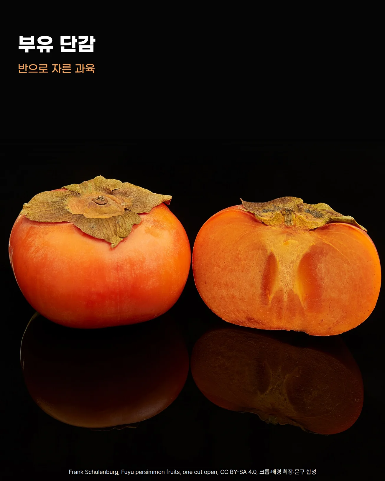 검은 바탕 위에 놓인 부유 단감 두 개. 왼쪽은 꼭지가 붙은 통째의 단감이고, 오른쪽은 반으로 잘라 주황색 과육 단면이 보이며, 아래 바닥에 두 열매가 비친 사진 위쪽 검은 면에 '부유 단감', '반으로 자른 과육' 문구가 놓인 앨범 이미지