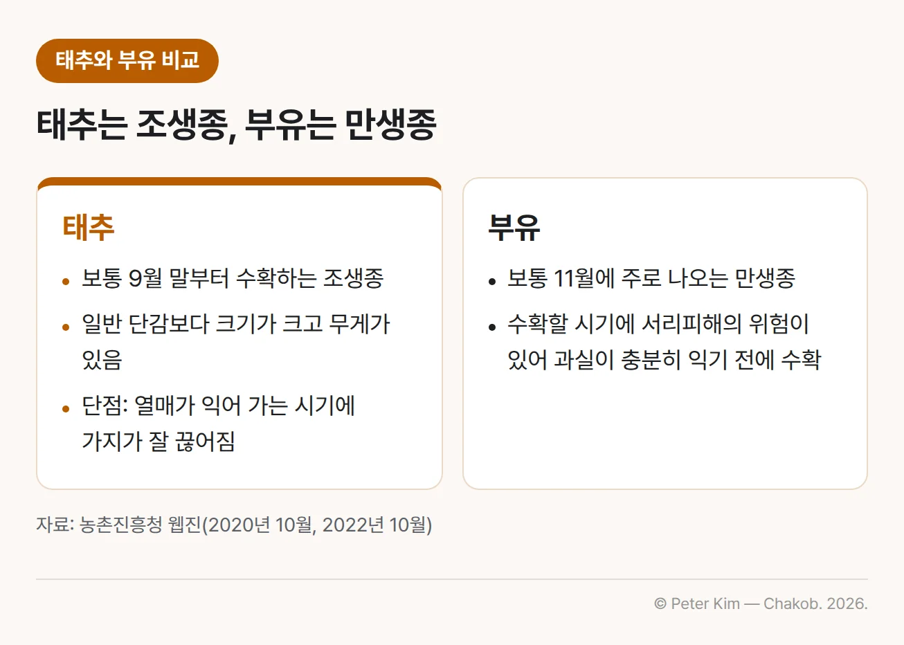 태추와 부유를 비교한 카드 두 장. 태추는 보통 9월 말부터 수확하는 조생종으로 일반 단감보다 크기가 크고 무게가 있으며, 열매가 익어 가는 시기에 가지가 잘 끊어지는 것이 단점이고, 부유는 보통 11월에 주로 나오는 만생종으로 수확할 시기에 서리피해의 위험이 있어 과실이 충분히 익기 전에 수확한다는 내용