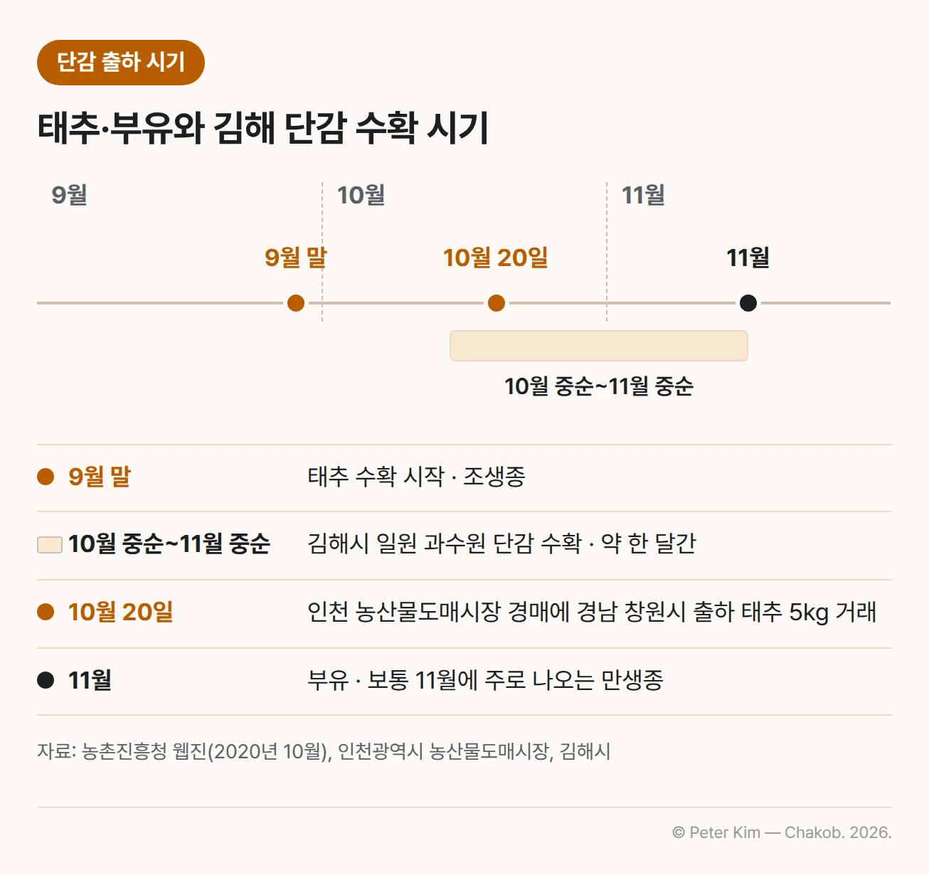 단감 수확·출하 시기를 9월부터 11월까지 가로로 놓은 타임라인. 9월 말에 조생종 태추의 수확이 시작되고, 10월 중순부터 11월 중순까지 약 한 달간 김해시 일원 과수원에서 단감을 수확하며, 그 사이 10월 20일 인천 농산물도매시장 경매에서 경남 창원시에서 출하한 태추 5kg이 거래되었고, 11월은 보통 만생종 부유가 주로 나오는 시기라는 내용