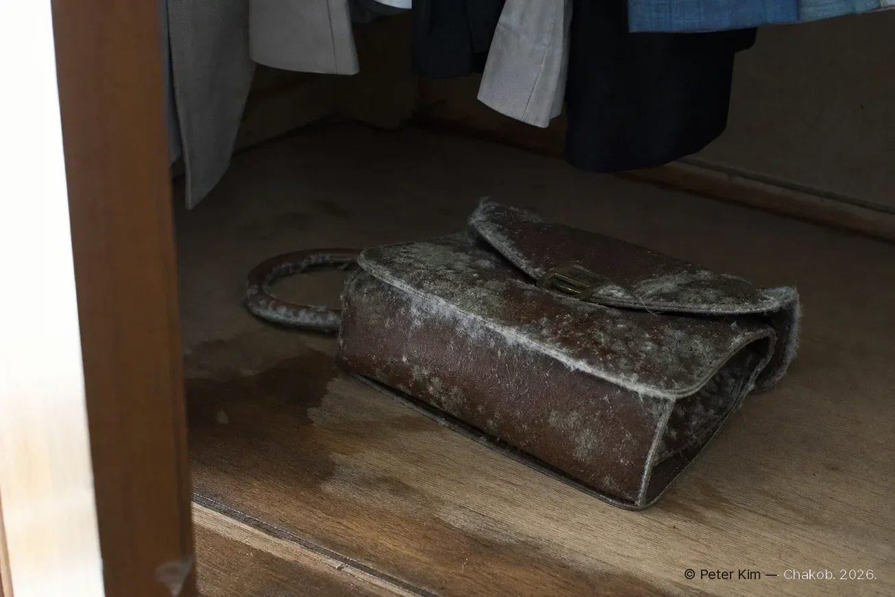 습기가 찬 나무 옷장 바닥에 오래 놓아둔 갈색 가죽 가방 겉면과 손잡이, 박음질 선을 따라 희끗한 곰팡이가 얼룩처럼 번져 있고, 위쪽에는 걸어 둔 옷자락이 보이는 모습