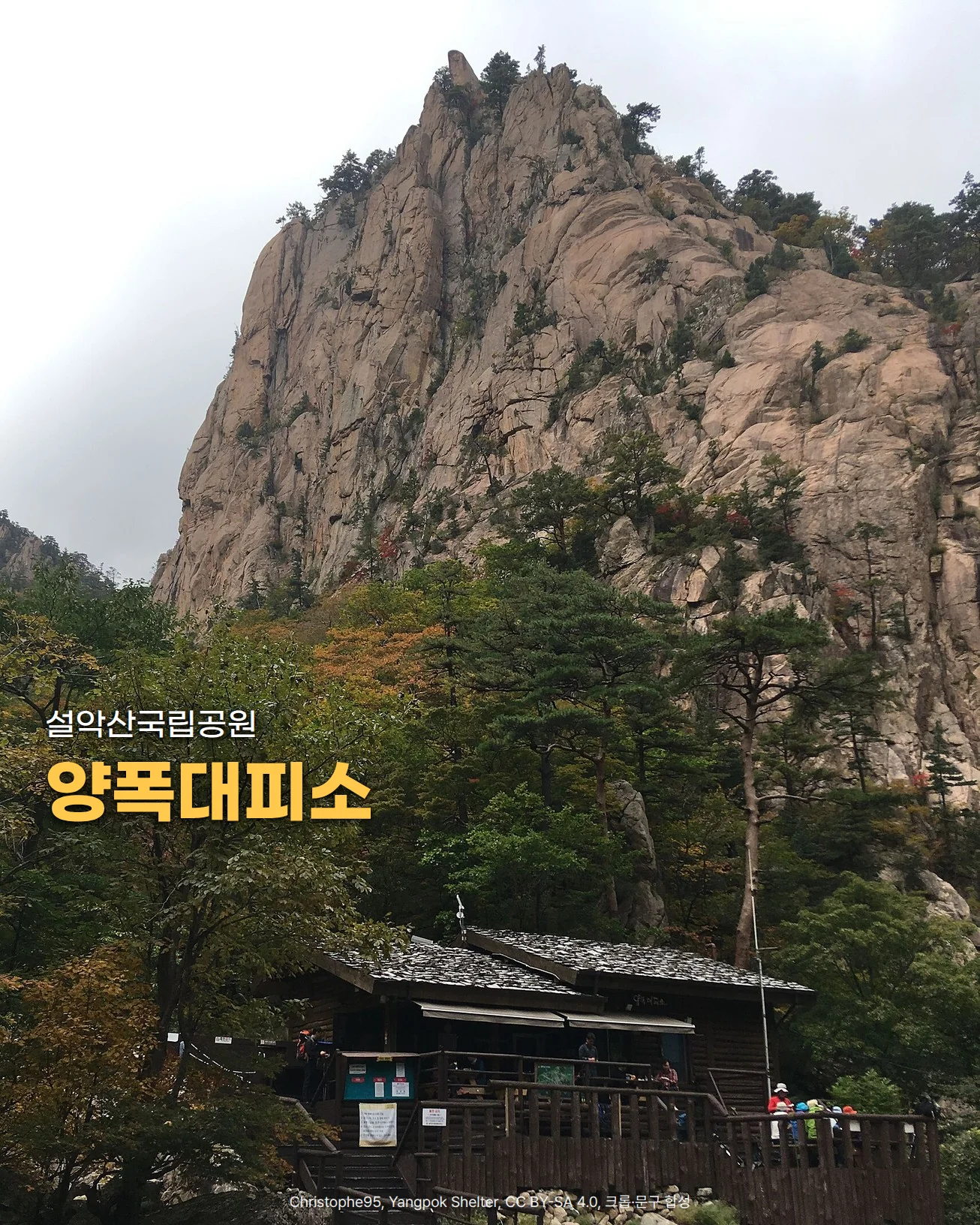 거대한 화강암 봉우리 아래 단풍이 들기 시작한 숲속에 목조 대피소 건물과 데크가 있는 사진에 '설악산국립공원', '양폭대피소' 문구
