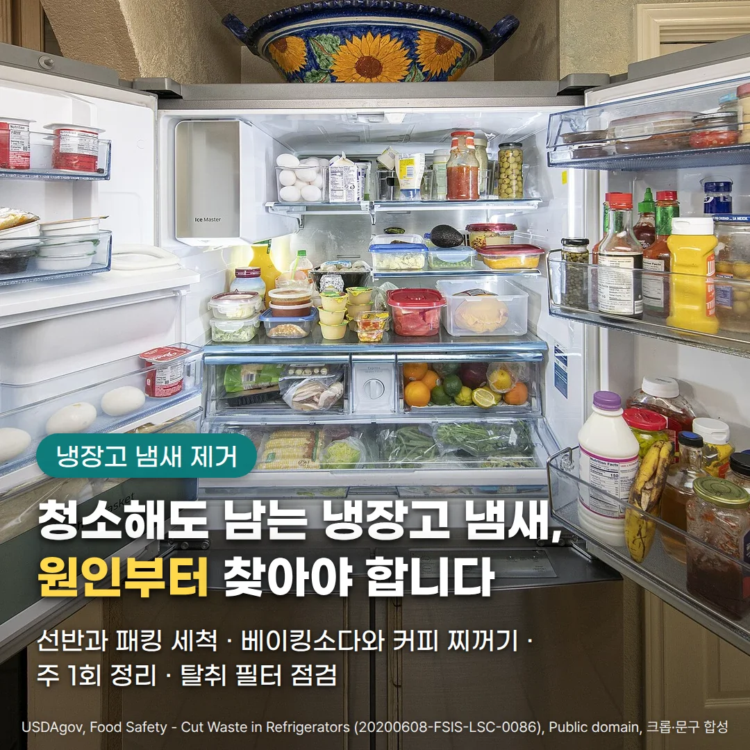 양문을 열어 둔 냉장고 안에 밀폐 용기와 반찬, 과일·채소 서랍, 문칸의 소스병이 보이는 사진 위에 '냉장고 냄새 제거' 배지와 '청소해도 남는 냉장고 냄새, 원인부터 찾아야 합니다' 제목, '선반과 패킹 세척 · 베이킹소다와 커피 찌꺼기 · 주 1회 정리 · 탈취 필터 점검' 부제가 들어간 커버