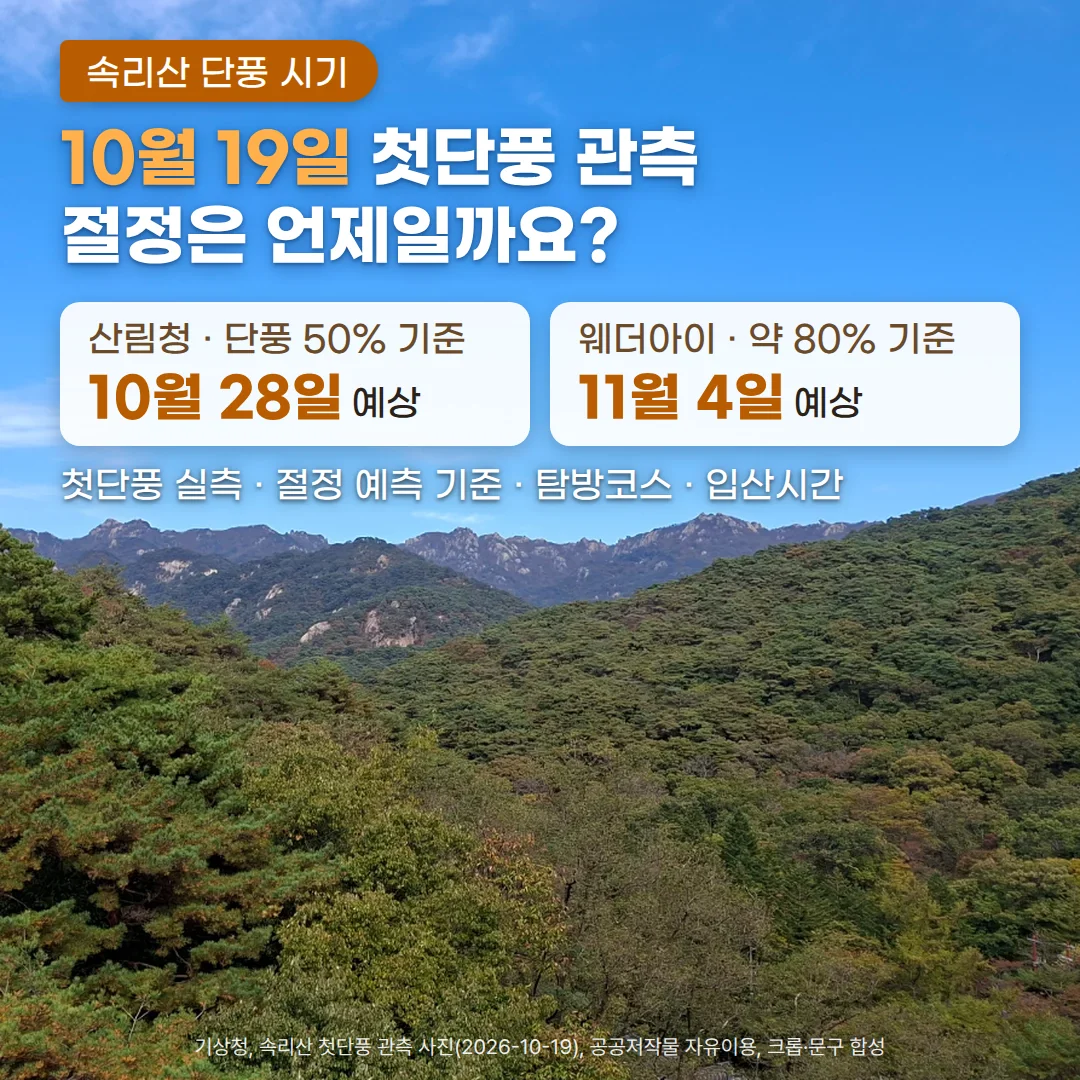 파란 하늘 아래 바위 능선이 이어진 속리산과, 초록 숲 사이로 일부 나무가 노랗고 붉게 물들기 시작한 2026년 10월 19일 첫단풍 관측 장면. 위쪽에 '속리산 단풍 시기' 배지, '10월 19일 첫단풍 관측, 절정은 언제일까요?' 제목, 산림청 단풍 50% 기준 10월 28일 예상과 웨더아이 약 80% 기준 11월 4일 예상 카드, '첫단풍 실측 · 절정 예측 기준 · 탐방코스 · 입산시간' 안내 줄이 있습니다