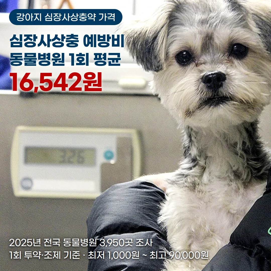 동물병원 진료실에서 보호자 품에 안겨 정면을 바라보는 작은 강아지와, 왼쪽 위에 '강아지 심장사상충약 가격', '심장사상충 예방비 동물병원 1회 평균 16,542원', 왼쪽 아래에 '2025년 전국 동물병원 3,950곳 조사', '1회 투약·조제 기준 · 최저 1,000원 ~ 최고 90,000원' 문구를 합성한 커버