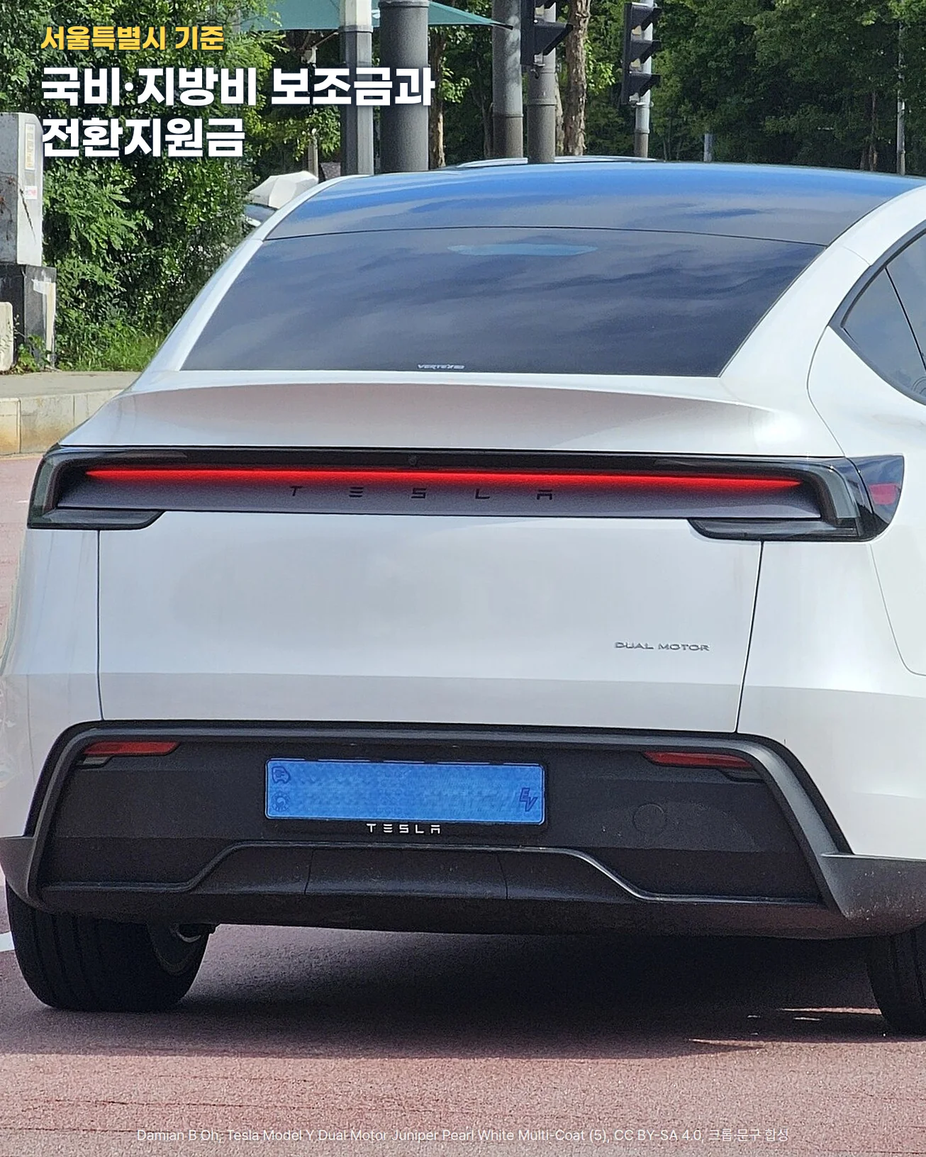 흰색 테슬라 모델Y를 뒤에서 본 사진입니다. 가로로 이어진 빨간 후면 라이트 바와 TESLA 글자, 검은 후면 범퍼가 보이고, 위쪽 가로수와 뒷유리 위에 서울특별시 기준, 국비·지방비 보조금과 전환지원금이라는 문구가 있습니다.