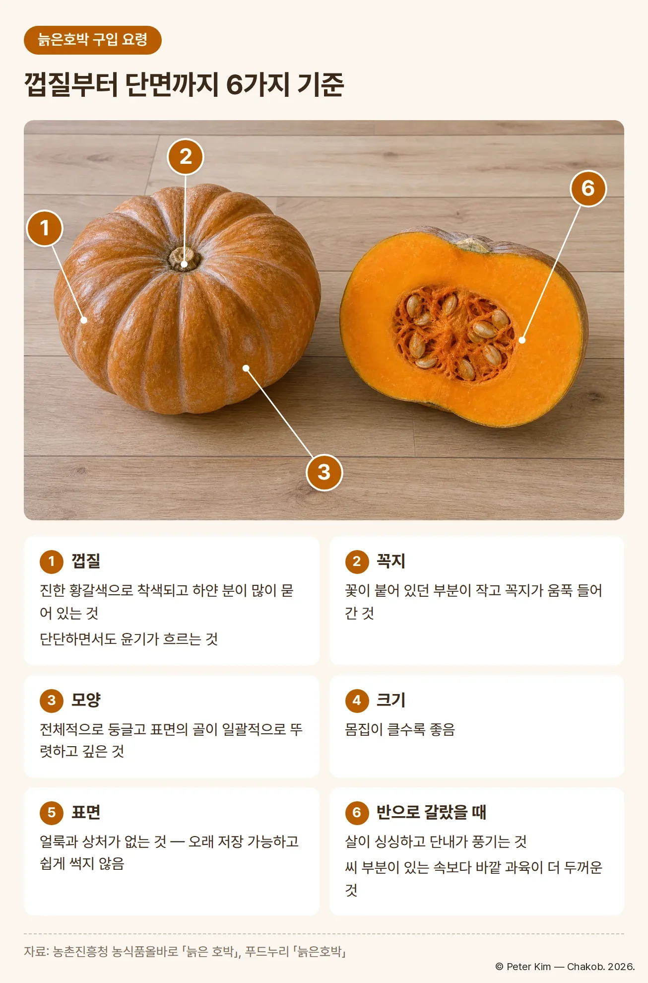 좋은 늙은호박 구입 요령. 통째인 늙은호박과 반으로 가른 늙은호박 사진에 번호가 표시되어 있고, 아래 카드 6개에 기준이 정리되어 있습니다. 껍질은 진한 황갈색으로 착색되고 하얀 분이 많이 묻어 있는 것, 단단하면서도 윤기가 흐르는 것. 꼭지는 꽃이 붙어 있던 부분이 작고 꼭지가 움푹 들어간 것. 모양은 전체적으로 둥글고 표면의 골이 일괄적으로 뚜렷하고 깊은 것. 크기는 몸집이 클수록 좋습니다. 표면은 얼룩과 상처가 없는 것이 오래 저장 가능하고 쉽게 썩지 않습니다. 반으로 갈랐을 때는 살이 싱싱하고 단내가 풍기며 씨 부분이 있는 속보다 바깥 과육이 더 두꺼운 것이 좋습니다