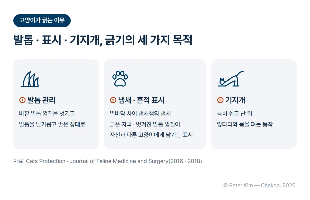 고양이가 긁는 세 가지 목적을 카드 3장으로 나란히 보여 주는 이미지입니다. 첫째 발톱 관리는 바깥 발톱 껍질을 벗기고 발톱을 날카롭고 좋은 상태로 유지하는 것, 둘째 냄새·흔적 표시는 발바닥 사이 냄새샘의 냄새와 긁은 자국, 벗겨진 발톱 껍질이 자신과 다른 고양이에게 표시를 남기는 것, 셋째 기지개는 특히 쉬고 난 뒤 앞다리와 몸을 펴는 동작입니다.