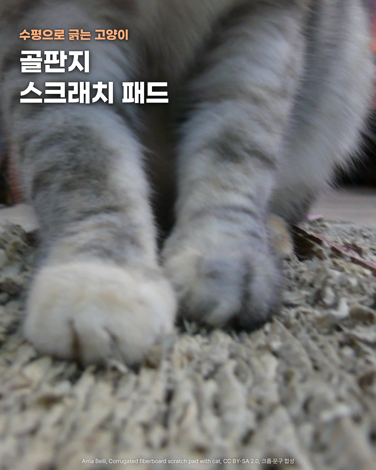 골판지 조각이 일어난 바닥의 스크래치 패드 위에 회색 줄무늬 고양이가 두 앞발을 올려 긁는 모습을 바닥 높이에서 가까이 찍은 사진으로, 앞발 뒤로 흐릿한 다리와 가슴 털이 보입니다. 위쪽 흐린 털 위에 수평으로 긁는 고양이, 골판지 스크래치 패드라는 문구가 있습니다.