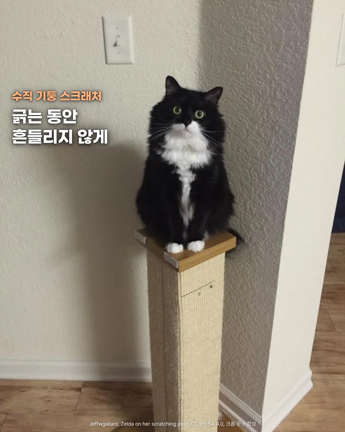 연한 벽 모서리 옆에 둔 베이지색 섬유 감은 사각 기둥 스크래처 꼭대기의 나무판 위에 검은 털에 흰 가슴의 턱시도 고양이가 앉아 정면을 보는 사진으로, 기둥 아래는 나무 바닥에 닿아 있습니다. 왼쪽 벽 위에 수직 기둥 스크래처, 긁는 동안 흔들리지 않게라는 문구가 있습니다.
