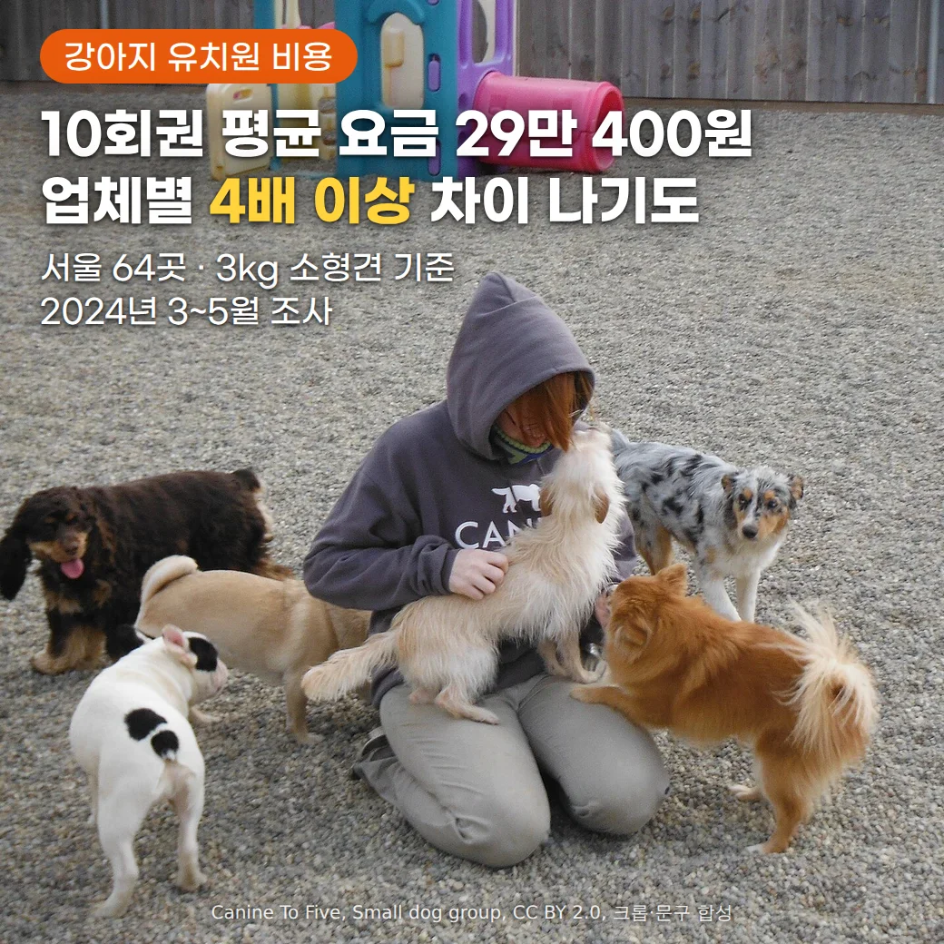 반려견 유치원 놀이터의 자갈 바닥에 후드 차림의 돌봄 직원이 무릎을 꿇고 앉아 소형견 여러 마리와 어울리고, 뒤로 어린이 놀이 기구와 나무 울타리가 보이는 사진. 위쪽에 '강아지 유치원 비용' 배지와 '10회권 평균 요금 29만 400원, 업체별 4배 이상 차이 나기도'라는 제목, '서울 64곳 · 3kg 소형견 기준, 2024년 3~5월 조사'라는 설명이 있습니다
