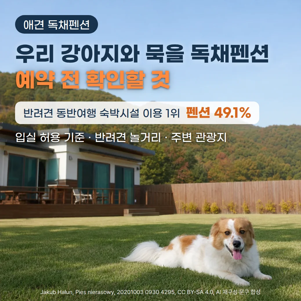 높은 나무 담장으로 둘러싼 독채 건물 앞 잔디마당에 흰색과 갈색 털의 강아지가 엎드려 있고, 뒤로 가을빛 산이 보입니다. 위쪽에 '애견 독채펜션' 배지, '우리 강아지와 묵을 독채펜션 예약 전 확인할 것' 제목, '반려견 동반여행 숙박시설 이용 1위 펜션 49.1%', '입실 허용 기준 · 반려견 놀거리 · 주변 관광지' 문구가 있습니다