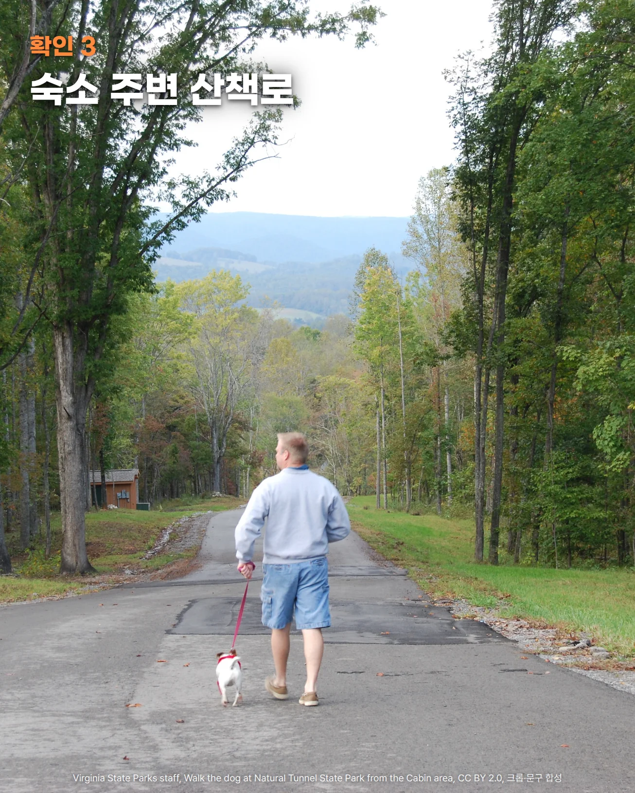 양옆으로 키 큰 나무가 늘어선 길을 따라 회색 맨투맨과 청반바지 차림의 사람이 빨간 목줄을 맨 흰색 소형견과 나란히 걸어가는 뒷모습 사진으로, 길 끝에 푸른 산 능선이 보입니다. 왼쪽 위에 확인 3, 숙소 주변 산책로라는 문구가 있습니다.