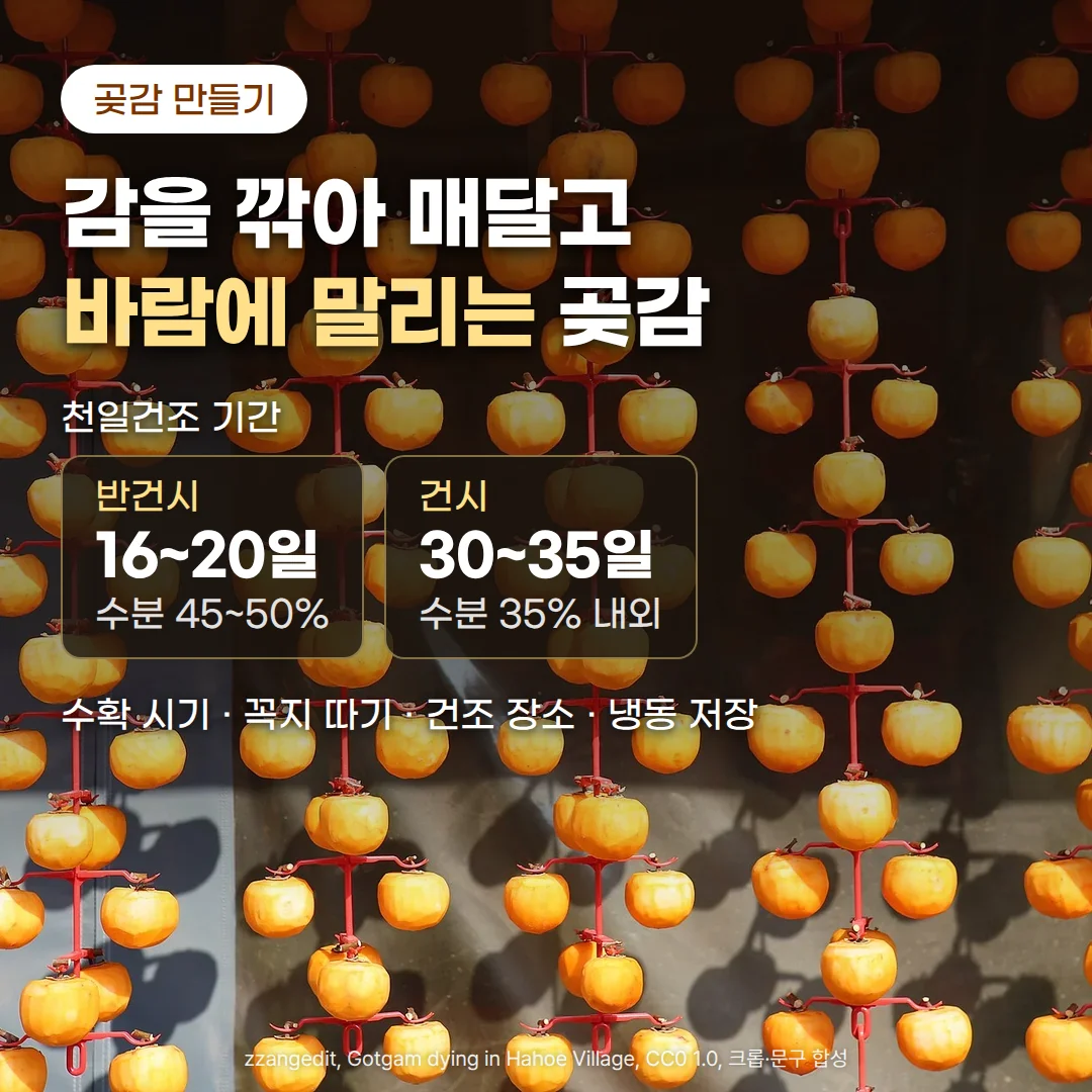 껍질을 깎은 주황색 감 수십 개가 붉은 걸이에 세로줄로 고르게 매달려 마르는 건조대 사진 위에, '곶감 만들기' 배지와 '감을 깎아 매달고 바람에 말리는 곶감' 제목, 천일건조 기간이 반건시 16~20일(수분 45~50%), 건시 30~35일(수분 35% 내외)이라는 두 카드, '수확 시기 · 꼭지 따기 · 건조 장소 · 냉동 저장' 줄이 놓인 커버