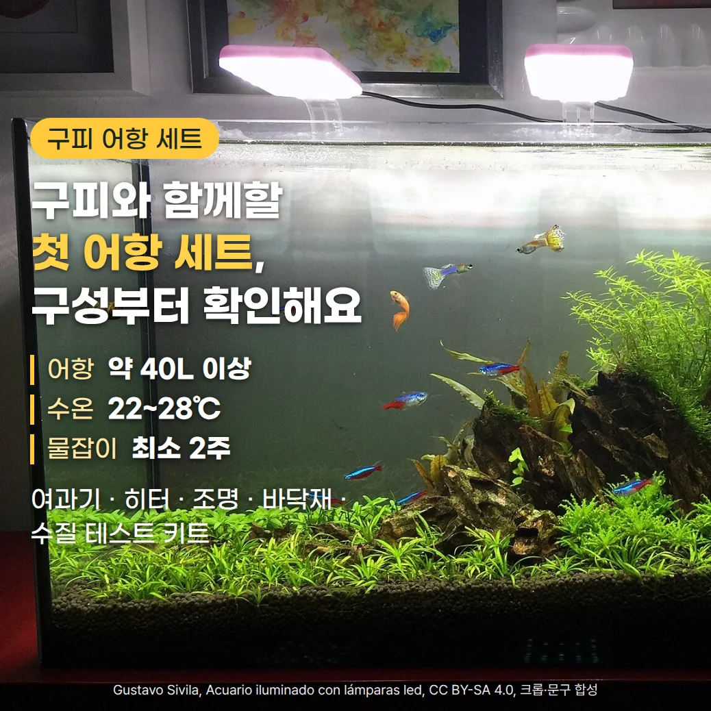 LED 조명 아래 수초와 돌로 꾸민 어항에서 꼬리가 화려한 구피와 네온테트라가 헤엄치는 사진 위에, 구피 어항 세트 배지와 '구피와 함께할 첫 어항 세트, 구성부터 확인해요' 제목, 어항 약 40L 이상·수온 22~28℃·물잡이 최소 2주, 여과기·히터·조명·바닥재·수질 테스트 키트 문구가 있는 커버