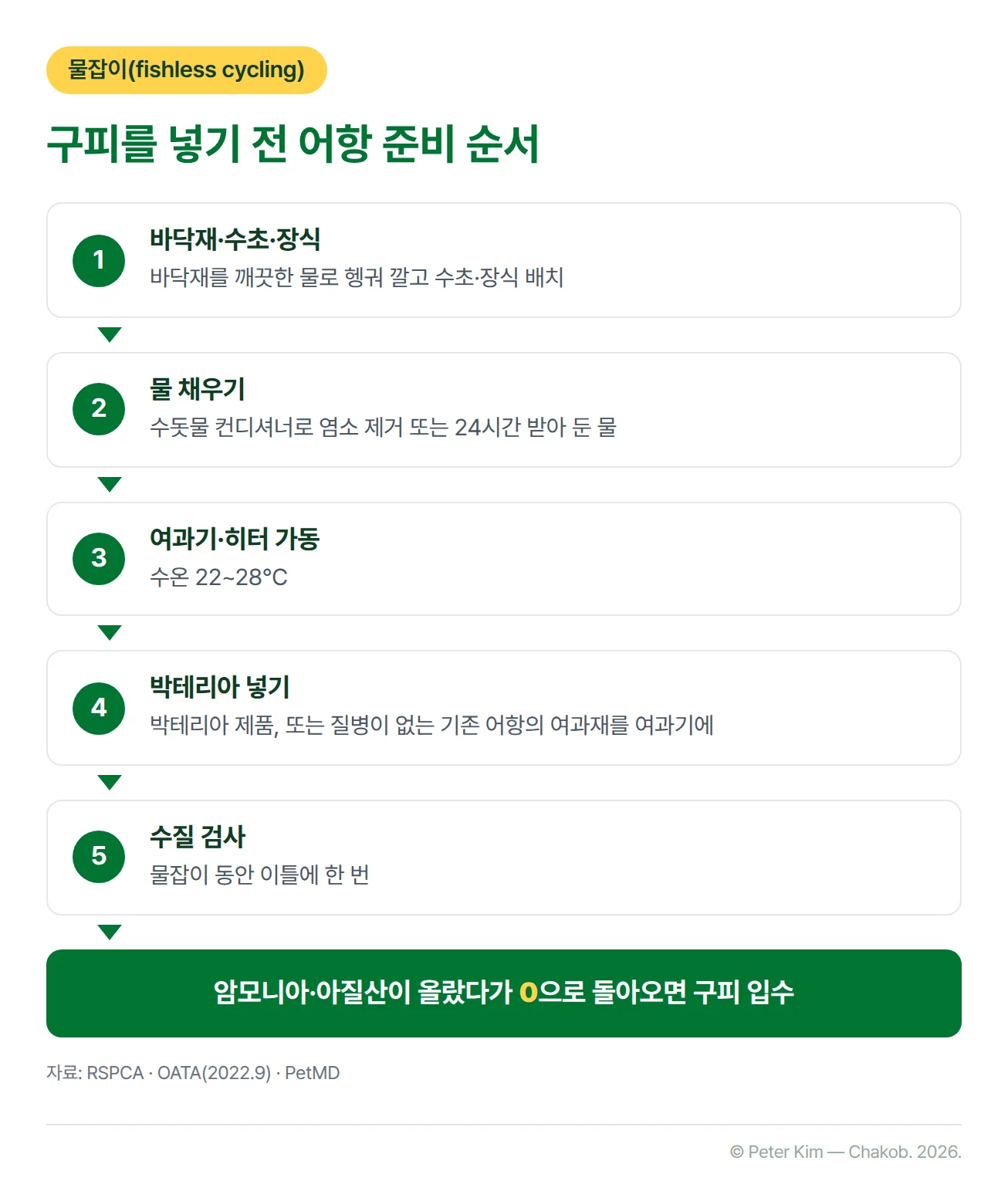 구피를 넣기 전 어항 준비와 물잡이 순서를 위에서 아래로 이은 흐름도입니다. 1단계 바닥재를 헹궈 깔고 수초·장식 배치, 2단계 물을 채우고 수돗물 컨디셔너로 염소를 제거하거나 24시간 받아 둔 물 사용, 3단계 여과기·히터 가동과 수온 22~28℃, 4단계 박테리아 제품 또는 질병이 없는 기존 어항의 여과재를 여과기에 넣기, 5단계 이틀에 한 번 수질 검사입니다. 마지막 상자는 암모니아·아질산이 올랐다가 0으로 돌아오면 구피를 넣는 단계입니다.