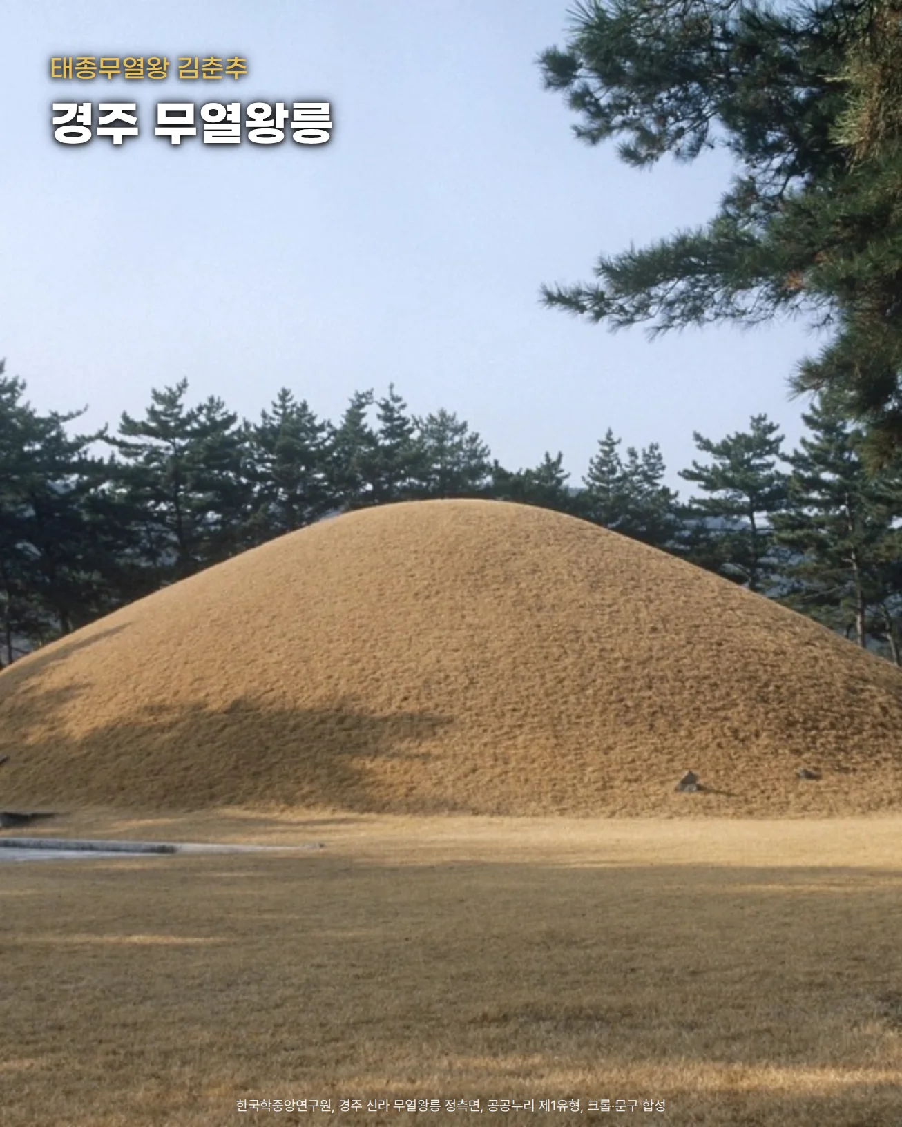 경주 신라 무열왕릉. 마른 잔디로 덮인 둥근 봉분이 넓은 풀밭 가운데 솟아 있고 뒤로 소나무 숲과 산이 보입니다. 위쪽 하늘에 '태종무열왕 김춘추'와 '경주 무열왕릉' 글자를 넣은 사진입니다.