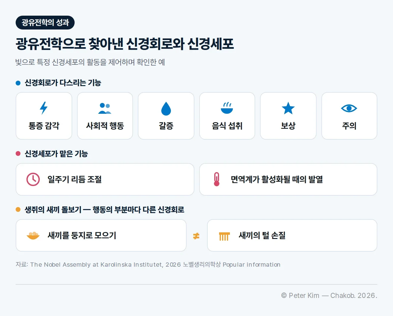 광유전학으로 찾아낸 신경회로와 신경세포. 신경회로가 다스리는 기능: 통증 감각, 사회적 행동, 갈증, 음식 섭취, 보상, 주의. 신경세포가 맡은 기능: 일주기 리듬 조절, 면역계가 활성화될 때의 발열. 생쥐의 새끼 돌보기는 행동의 부분마다 다른 신경회로가 다스려, 새끼를 둥지로 모으기와 새끼의 털 손질을 서로 다른 신경회로가 맡는다.