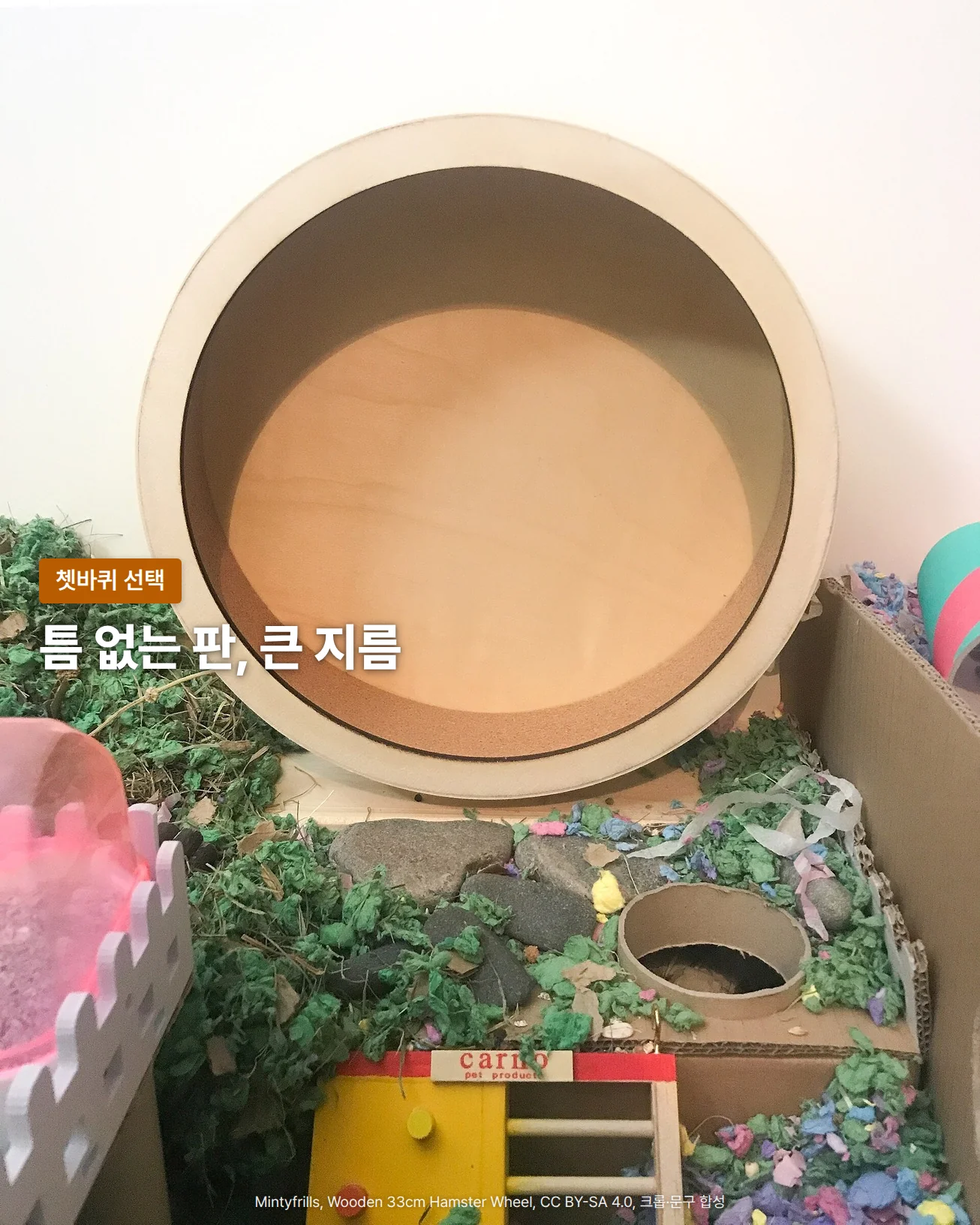 흰 벽 앞에 놓인 큰 나무 쳇바퀴를 정면에서 찍은 사진입니다. 쳇바퀴는 달리는 면과 뒤판에 모두 틈이 없고, 아래에는 초록과 색색의 종이 베딩, 납작한 돌, 둥근 구멍이 난 골판지 은신처, 노란 사다리 장난감이 놓여 있습니다. 왼쪽 아래 초록 베딩 위에 '틈 없는 판, 큰 지름'이라는 글자가 있습니다.