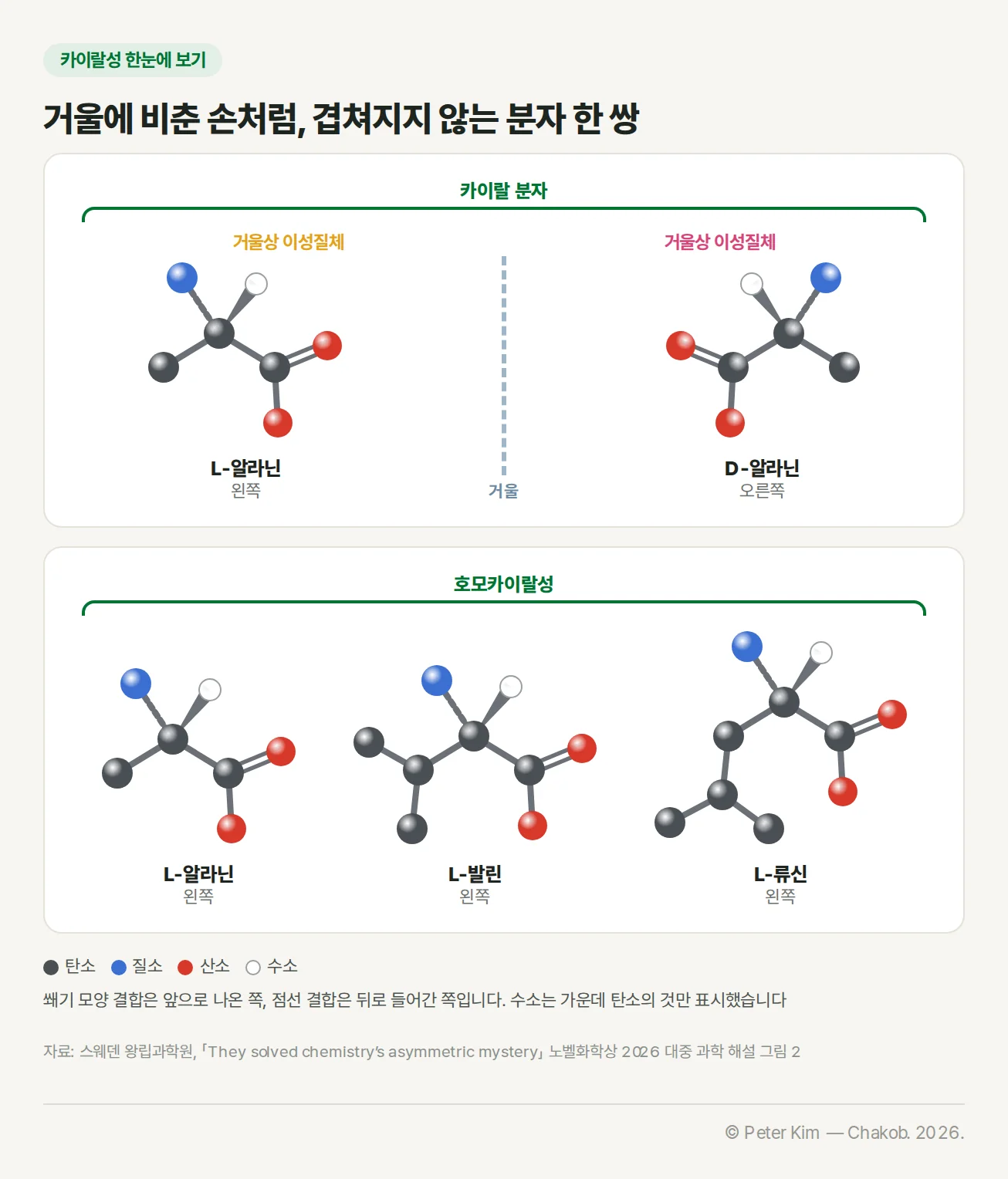 카이랄성 개념 도해. 위 패널에는 공과 막대로 그린 L-알라닌(왼쪽)과 D-알라닌(오른쪽)이 가운데 점선 거울을 사이에 두고 좌우가 뒤집힌 모습으로 마주 보고, 각각 거울상 이성질체, 두 분자를 묶어 카이랄 분자라고 표시되어 있다. 아래 패널에는 L-알라닌, L-발린, L-류신 세 분자가 모두 왼쪽 거울상으로 나란히 있고 이를 묶어 호모카이랄성이라고 표시되어 있다. 범례는 탄소 회색, 질소 파랑, 산소 빨강, 수소 흰색이며 쐐기 모양 결합은 앞으로 나온 쪽, 점선 결합은 뒤로 들어간 쪽을 뜻한다