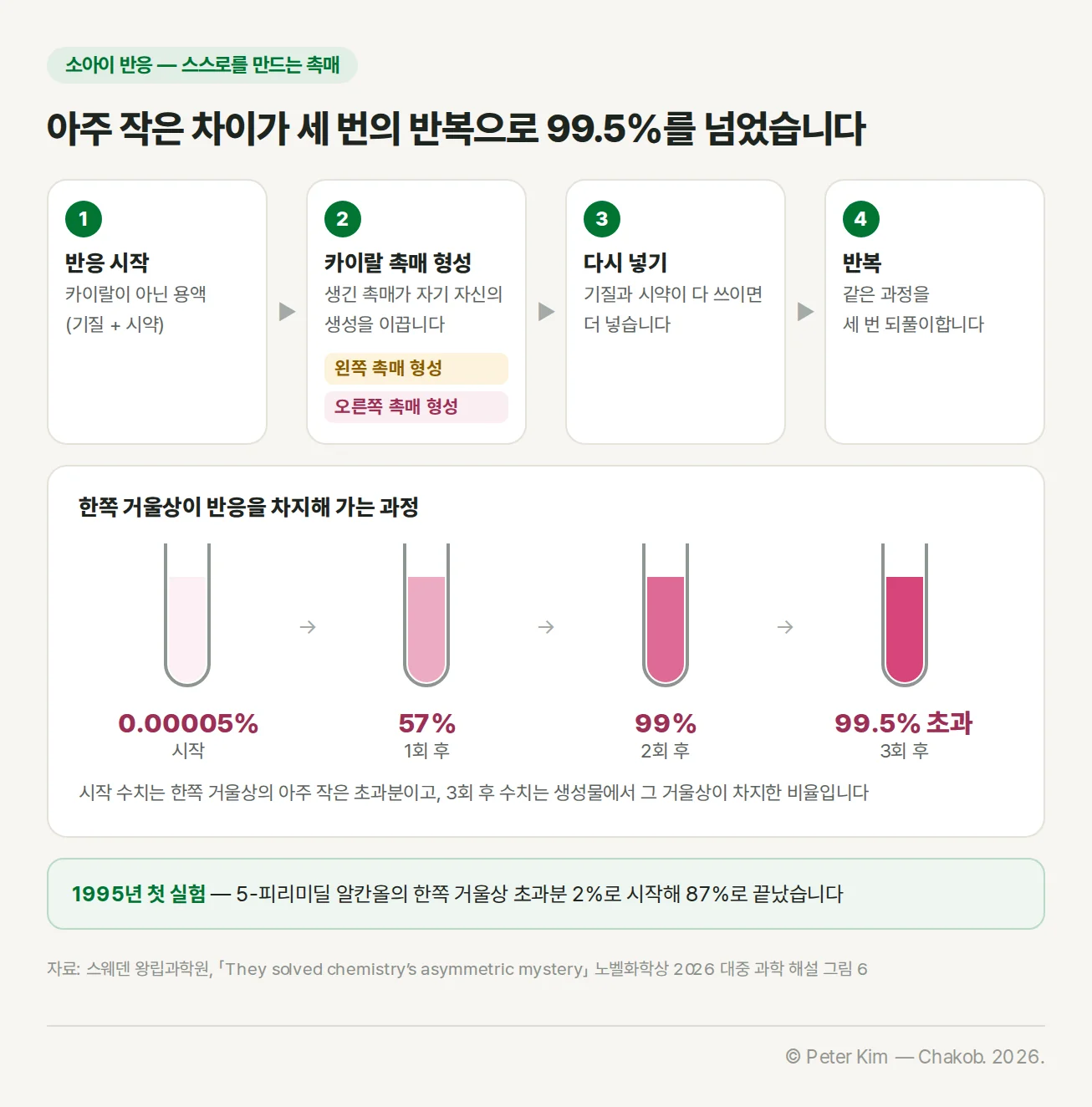 소아이 반응 도해. 제목은 아주 작은 차이가 세 번의 반복으로 99.5%를 넘었다는 것이다. 네 단계가 가로로 이어진다. 1. 반응 시작 — 카이랄이 아닌 용액(기질 + 시약). 2. 카이랄 촉매 형성 — 생긴 촉매가 자기 자신의 생성을 이끌며, 왼쪽 촉매 형성과 오른쪽 촉매 형성 두 라벨이 함께 표시되어 있다. 3. 다시 넣기 — 기질과 시약이 다 쓰이면 더 넣는다. 4. 반복 — 같은 과정을 세 번 되풀이한다. 아래에는 점점 진해지는 시험관 네 개가 시작 0.00005%, 1회 후 57%, 2회 후 99%, 3회 후 99.5% 초과로 이어지고, 시작 수치는 한쪽 거울상의 아주 작은 초과분, 3회 후 수치는 생성물에서 그 거울상이 차지한 비율이라는 설명이 있다. 맨 아래 상자에는 1995년 첫 실험에서 5-피리미딜 알칸올의 한쪽 거울상 초과분이 2%로 시작해 87%로 끝났다는 내용이 있다