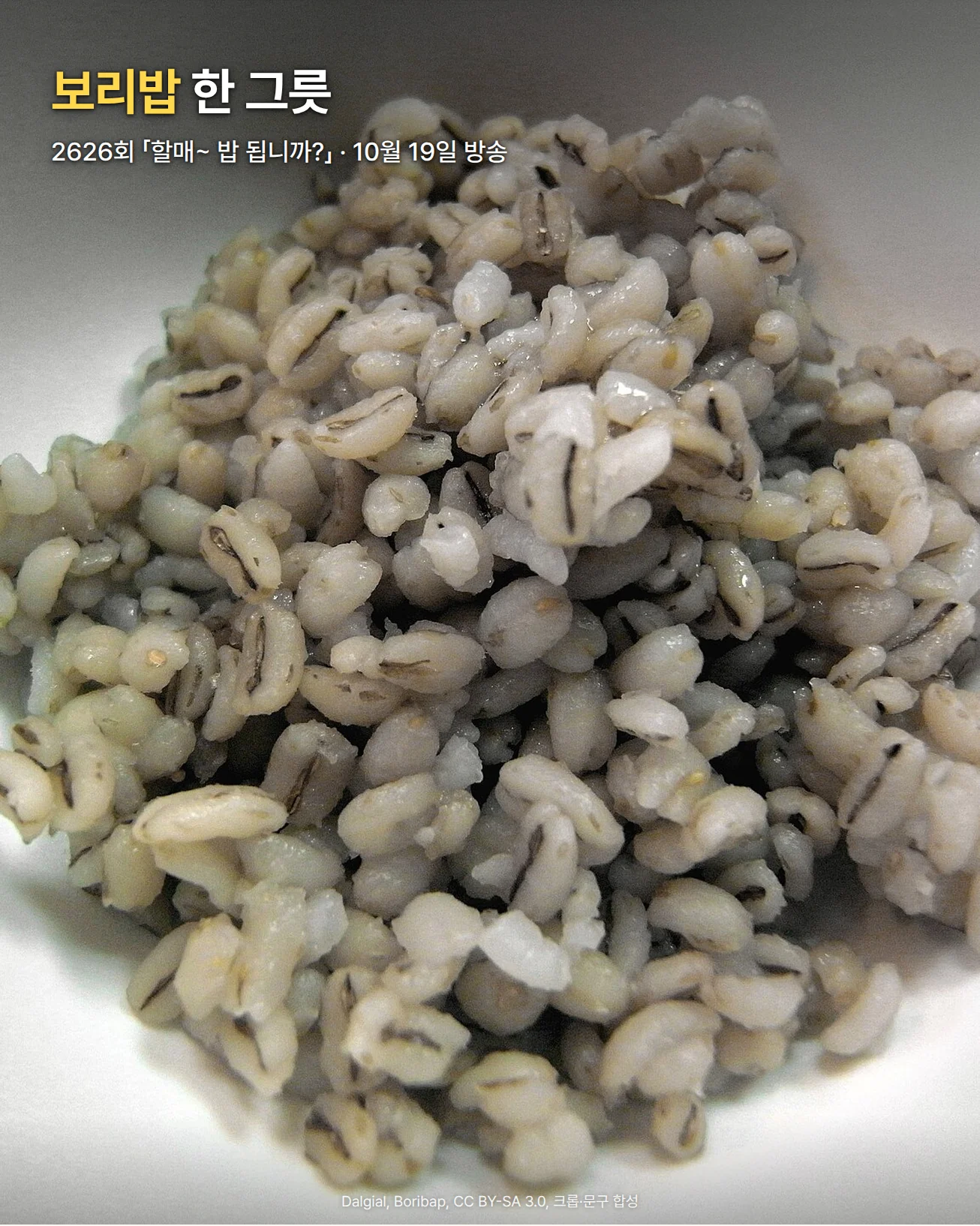 흰 그릇에 담긴 보리밥을 가까이에서 찍은 사진으로, 가운데 골이 난 보리 낟알이 소복이 쌓여 있습니다. 위쪽에 '보리밥 한 그릇' 제목과 '2626회 「할매~ 밥 됩니까?」 · 10월 19일 방송' 문구가 있습니다