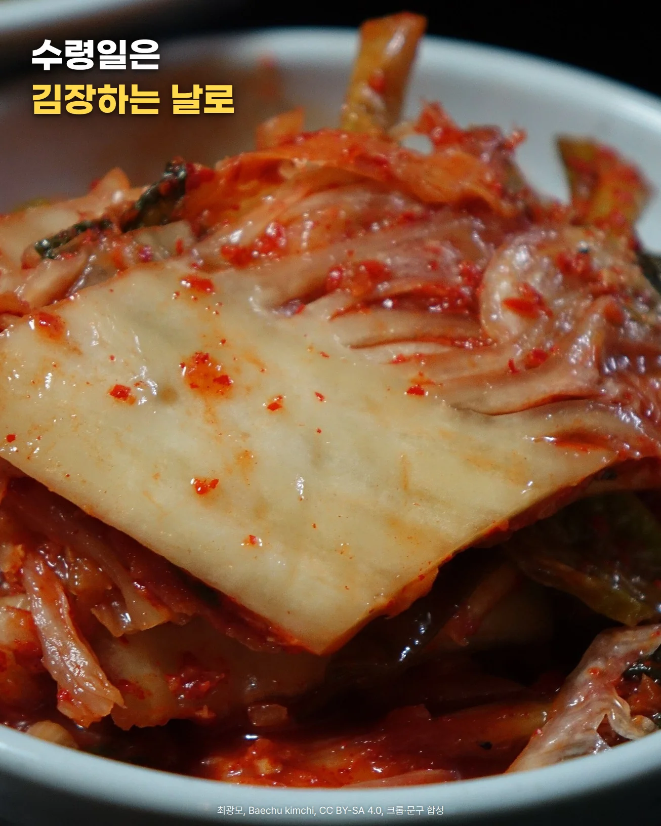 흰 그릇에 담긴 완성된 배추김치 근접 사진. 고춧가루 양념이 밴 배추 줄기와 잎이 겹쳐 있고 배경은 어두움. 위쪽에 '수령일은 김장하는 날로' 문구