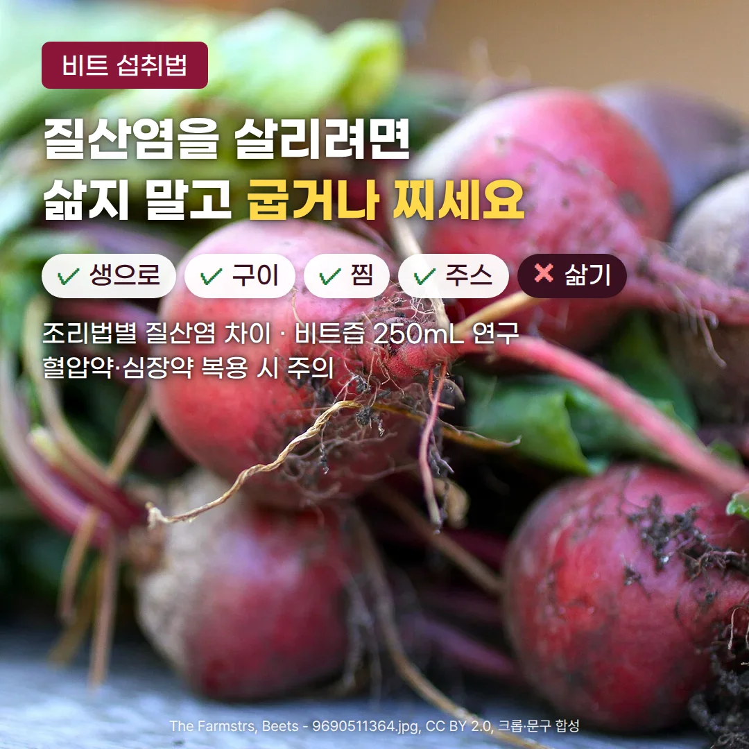 흙이 묻은 생 레드비트 여러 개가 잎줄기와 함께 놓인 사진 위에 ‘비트 섭취법’ 배지, ‘질산염을 살리려면 삶지 말고 굽거나 찌세요’ 제목, 생으로·구이·찜·주스는 체크 표시와 삶기는 엑스 표시를 한 조리법 칩, ‘조리법별 질산염 차이 · 비트즙 250mL 연구 · 혈압약·심장약 복용 시 주의’ 문구가 있는 커버