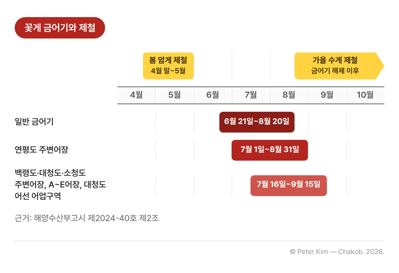 꽃게 금어기와 제철을 4월부터 10월까지의 가로 축에 나타낸 타임라인. 일반 금어기는 6월 21일부터 8월 20일까지, 연평도 주변어장은 7월 1일부터 8월 31일까지, 백령도·대청도·소청도 주변어장과 A~E어장, 대청도 어선 어업구역은 7월 16일부터 9월 15일까지다. 위쪽 제철 줄에는 봄 암게가 4월 말~5월, 가을 수게가 금어기 해제 이후로 표시되어 있다. 근거는 해양수산부고시 제2024-40호 제2조다