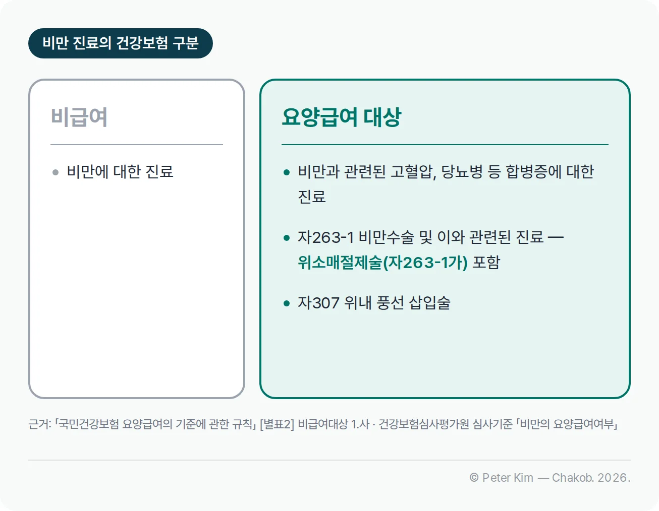 비만 진료의 건강보험 구분을 두 영역으로 나눈 카드. 왼쪽 비급여 영역에는 비만에 대한 진료, 오른쪽 요양급여 대상 영역에는 비만과 관련된 고혈압·당뇨병 등 합병증에 대한 진료, 위소매절제술(자263-1가)이 속한 자263-1 비만수술 및 이와 관련된 진료, 자307 위내 풍선 삽입술이 있습니다