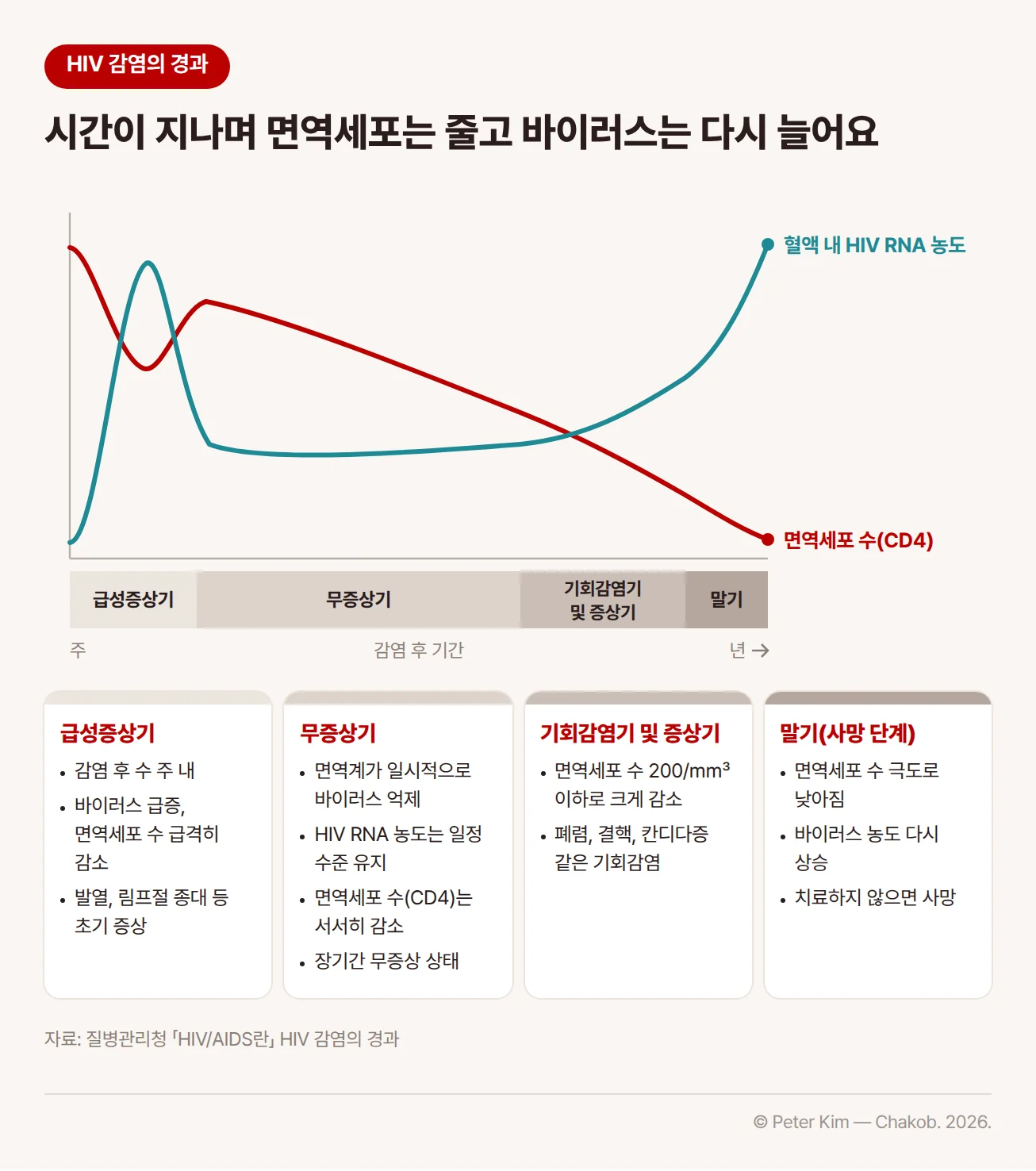 HIV 감염 후 시간에 따른 경과를 나타낸 그래프와 네 단계 설명. 감염 후 몇 주 동안 바이러스가 크게 늘고 면역세포 수가 줄었다가, 무증상기에는 바이러스가 일정 수준에서 유지되는 동안 면역세포 수가 서서히 줄어듭니다. 급성증상기에는 발열, 림프절 종대 같은 초기 증상이 나타날 수 있고, 무증상기는 오래 이어지며, 면역세포 수가 200/㎣ 이하로 크게 줄어든 기회감염기 및 증상기에는 폐렴, 결핵, 칸디다증 같은 기회감염이 나타납니다. 말기에는 면역세포 수가 극도로 낮아지고 바이러스 농도가 다시 오르며, 치료하지 않으면 사망에 이릅니다.