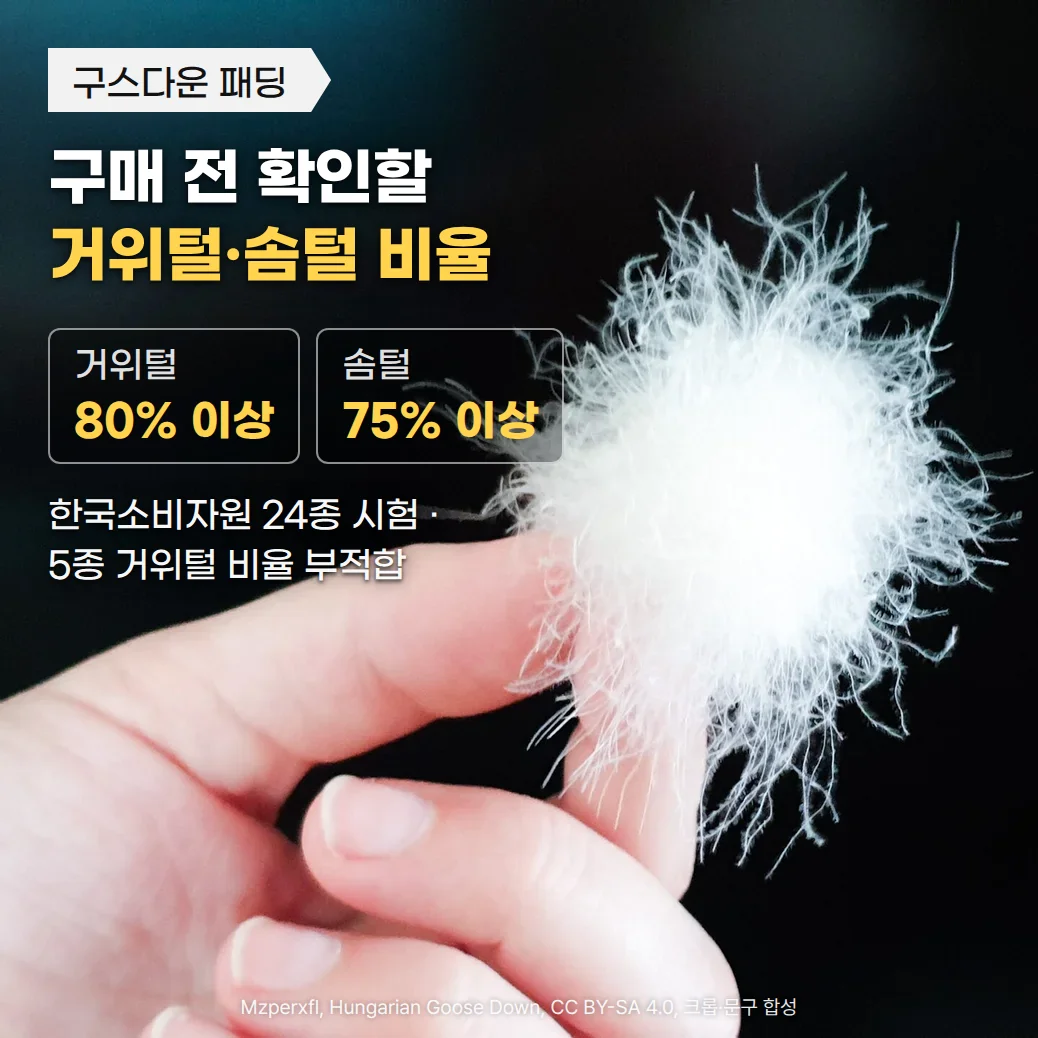검은 배경에서 손끝에 든 흰 거위 솜털 한 송이 사진 위에 '구스다운 패딩' 배지와 '구매 전 확인할 거위털·솜털 비율' 제목, '거위털 80% 이상'·'솜털 75% 이상' 두 카드, '한국소비자원 24종 시험 · 5종 거위털 비율 부적합' 부제가 놓인 커버