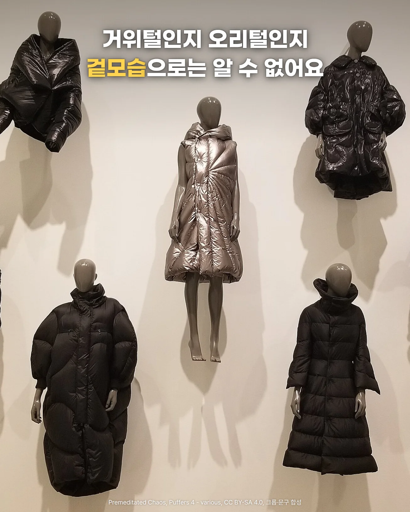 흰 벽 전시대의 마네킹에 입혀진 길이와 실루엣이 서로 다른 검은색·은색 패딩 사진 위에 '거위털인지 오리털인지 겉모습으로는 알 수 없어요' 문구를 넣은 이미지