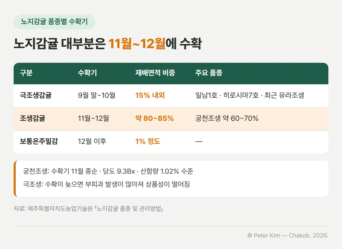 제주 노지감귤 품종별 수확기와 재배면적 비중 표. 극조생감귤은 9월 말~10월에 수확하고 재배면적의 15% 내외이며 일남1호·히로시마7호가 많고 최근 유라조생이 많이 보급되고 있습니다. 수확이 늦으면 부피과 발생이 많아져 상품성이 떨어집니다. 조생감귤은 11월~12월에 수확하고 약 80~85%를 차지하며, 가장 많이 재배되는 궁천조생이 약 60~70%로 수확기는 11월 중순, 당도 9.3Bx, 산함량 1.02% 수준입니다. 보통온주밀감은 12월 이후 수확하고 1% 정도입니다.