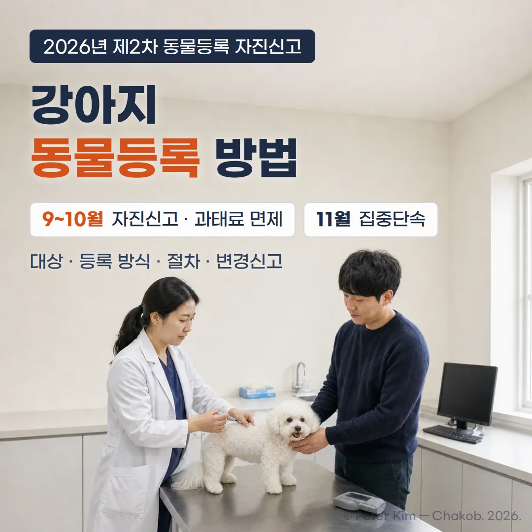 밝은 동물병원 진료실에서 흰 코트를 입은 수의사가 진료대 위 흰 강아지의 어깨 사이에 마이크로칩을 시술하고, 소유자가 강아지를 붙잡고 지켜보는 장면. 위쪽에 '2026년 제2차 동물등록 자진신고', '강아지 동물등록 방법', '9~10월 자진신고 · 과태료 면제', '11월 집중단속', '대상 · 등록 방식 · 절차 · 변경신고' 문구가 있습니다.