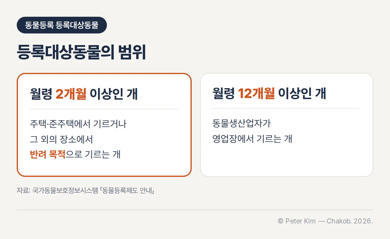 등록대상동물의 범위를 두 묶음으로 나눈 정보 카드. 왼쪽 강조 묶음: 월령 2개월 이상인 개 — 주택·준주택에서 기르거나 그 외의 장소에서 반려 목적으로 기르는 개. 오른쪽 묶음: 월령 12개월 이상인 개 — 동물생산업자가 영업장에서 기르는 개.