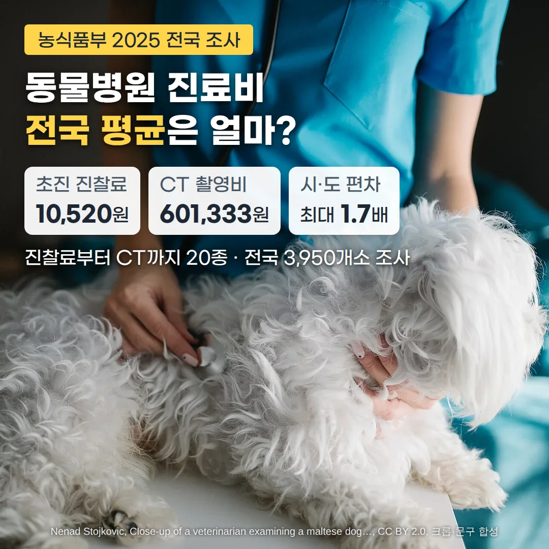 동물병원 진료대 위에 누운 흰 몰티즈를 파란 진료복의 수의사가 청진기로 진찰하는 사진 위에, '농식품부 2025 전국 조사' 배지와 '동물병원 진료비 전국 평균은 얼마?' 제목, 초진 진찰료 10,520원·CT 촬영비 601,333원·시·도 편차 최대 1.7배 카드, '진찰료부터 CT까지 20종 · 전국 3,950개소 조사' 문구가 있는 커버