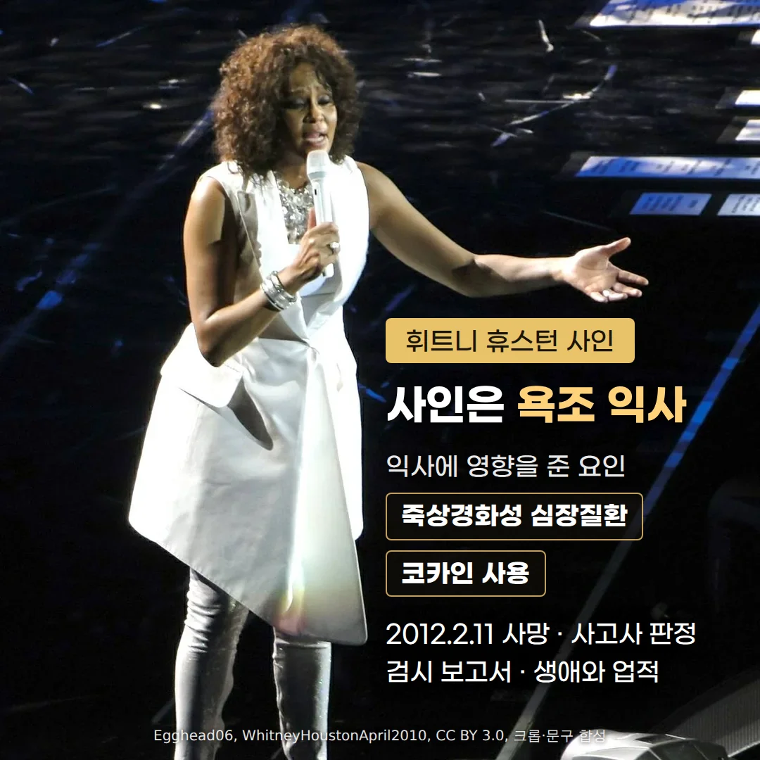 어두운 무대에서 흰 옷을 입고 마이크를 든 채 노래하는 휘트니 휴스턴 사진 위에 '휘트니 휴스턴 사인' 배지, '사인은 욕조 익사' 제목, 익사에 영향을 준 요인으로 죽상경화성 심장질환과 코카인 사용, 2012.2.11 사망과 사고사 판정 문구가 있는 커버