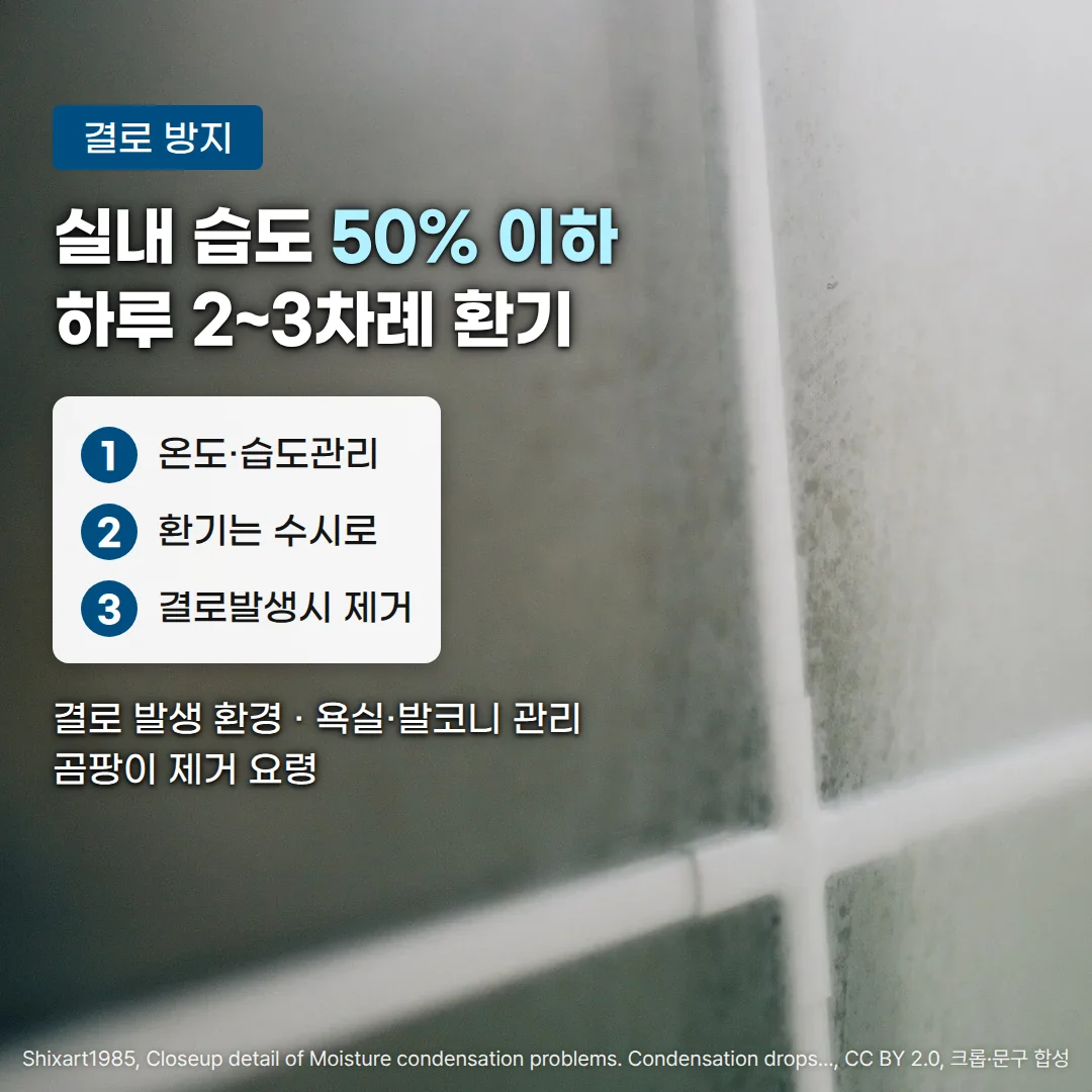 안쪽에 물방울이 뿌옇게 맺힌 창문 유리와 흰 창살 사진 위에 '결로 방지' 배지, '실내 습도 50% 이하 하루 2~3차례 환기' 제목, '1 온도·습도관리 2 환기는 수시로 3 결로발생시 제거' 3단계 카드, '결로 발생 환경 · 욕실·발코니 관리 곰팡이 제거 요령' 문구가 있는 커버