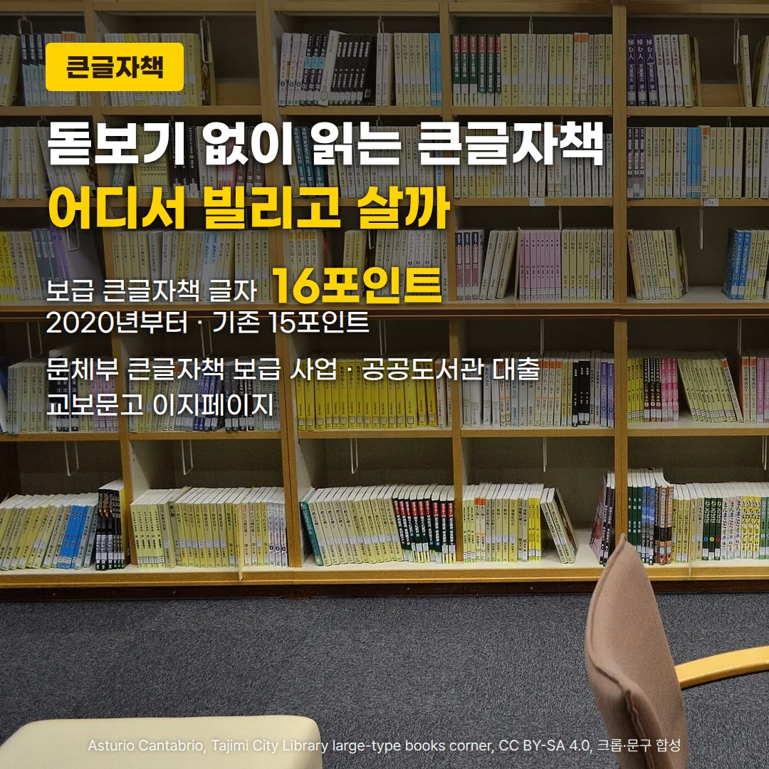 도서관 큰글자책 코너의 서가에 큰글자책이 칸마다 꽂혀 있는 사진 위에, '큰글자책' 배지와 '돋보기 없이 읽는 큰글자책, 어디서 빌리고 살까' 제목, '보급 큰글자책 글자 16포인트, 2020년부터 · 기존 15포인트' 수치, '문체부 큰글자책 보급 사업 · 공공도서관 대출 · 교보문고 이지페이지' 설명이 놓인 커버